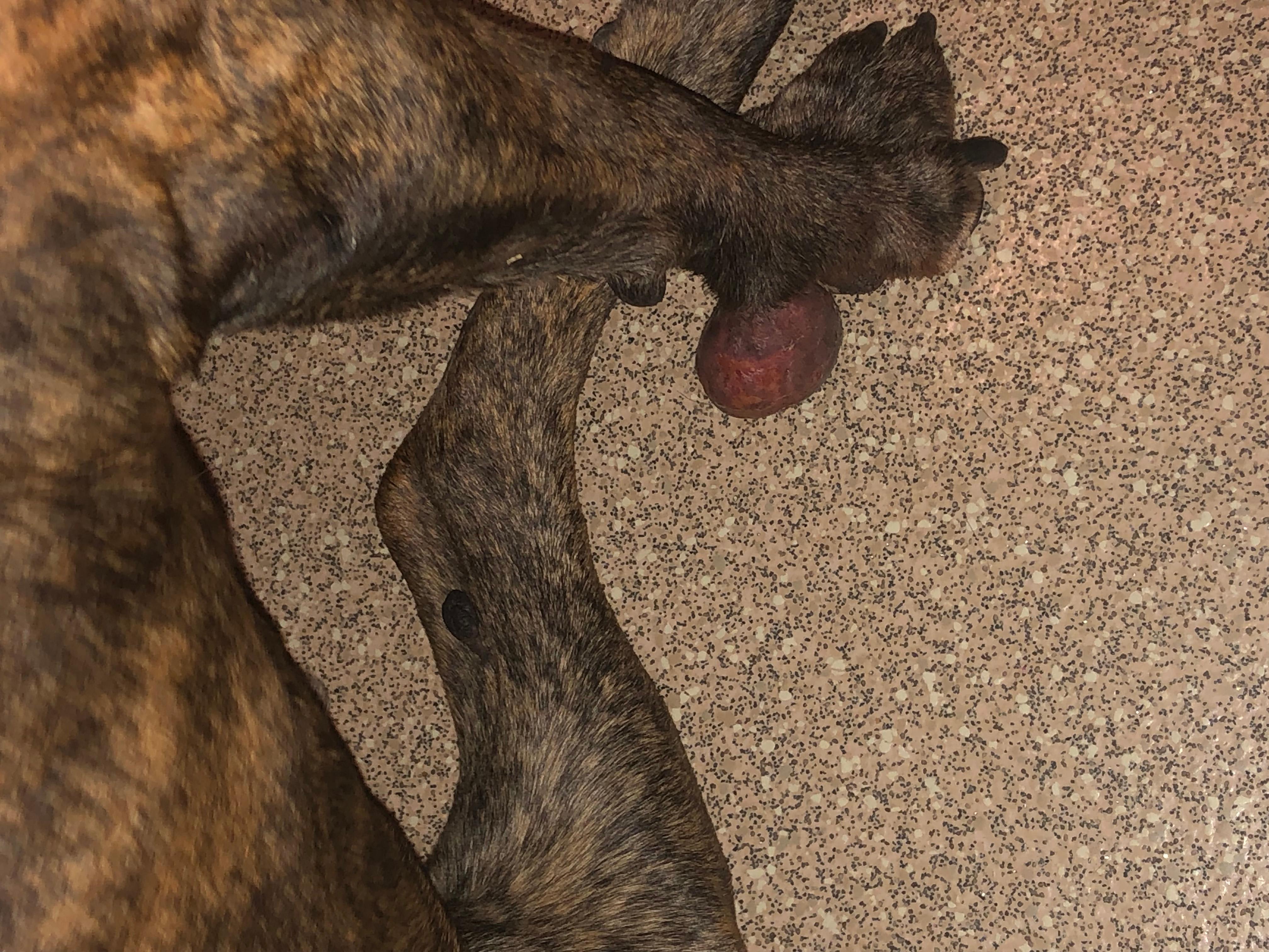 Question details sensitive content