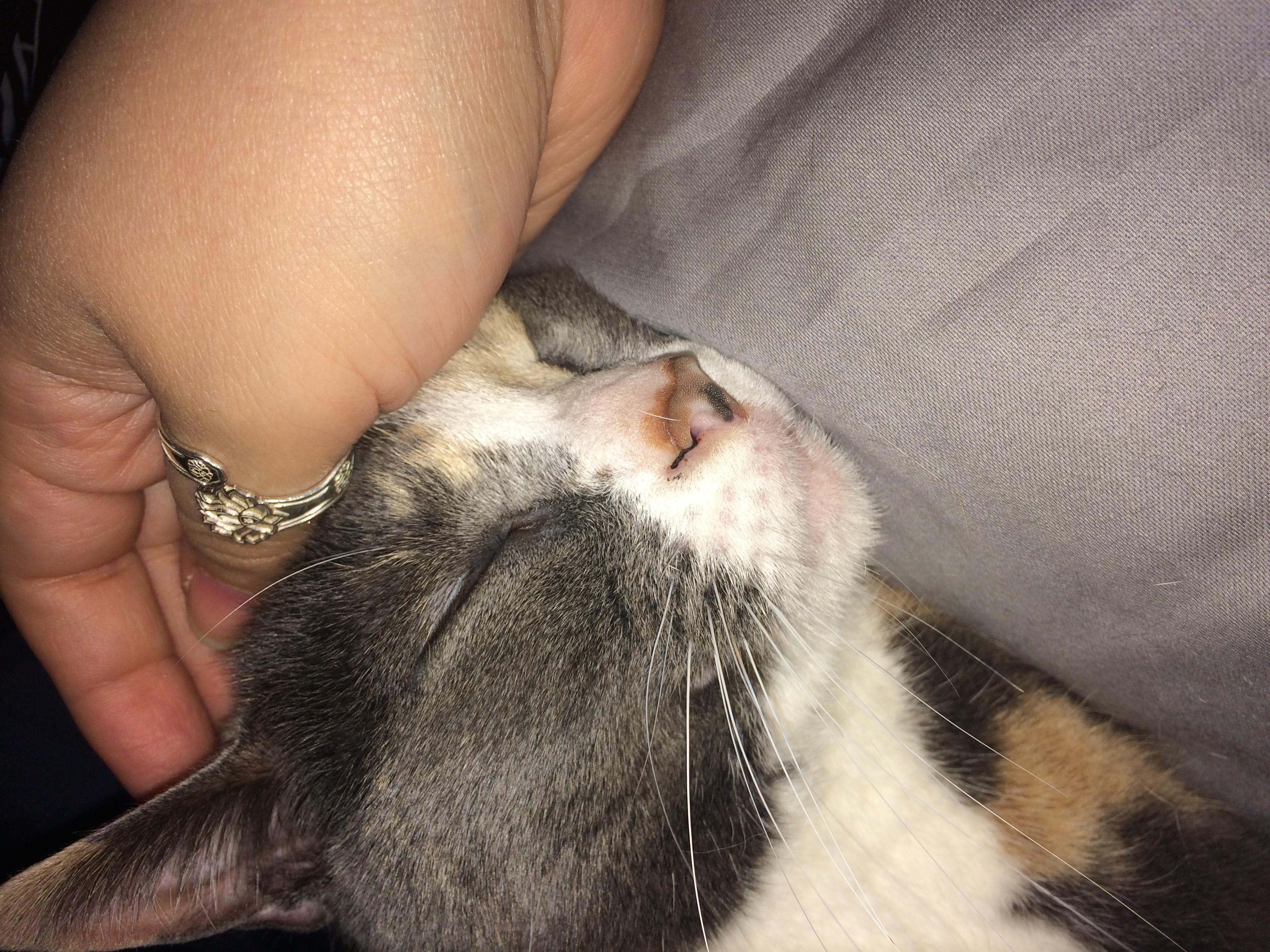 Question details sensitive content