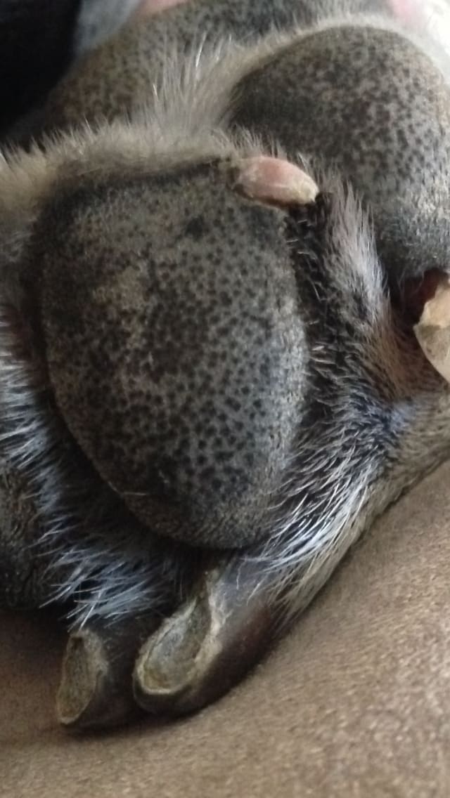 Question details sensitive content