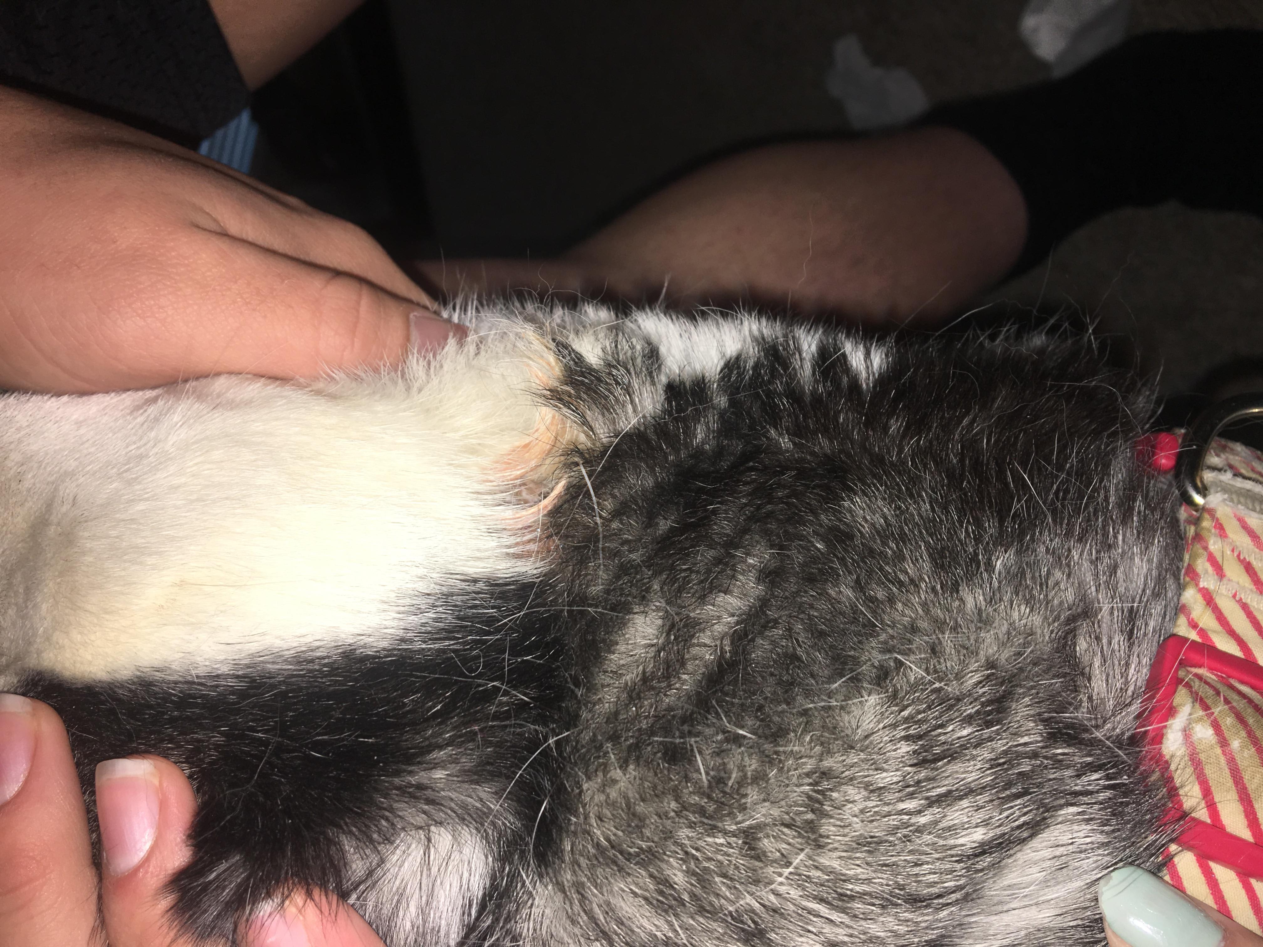 Question details sensitive content