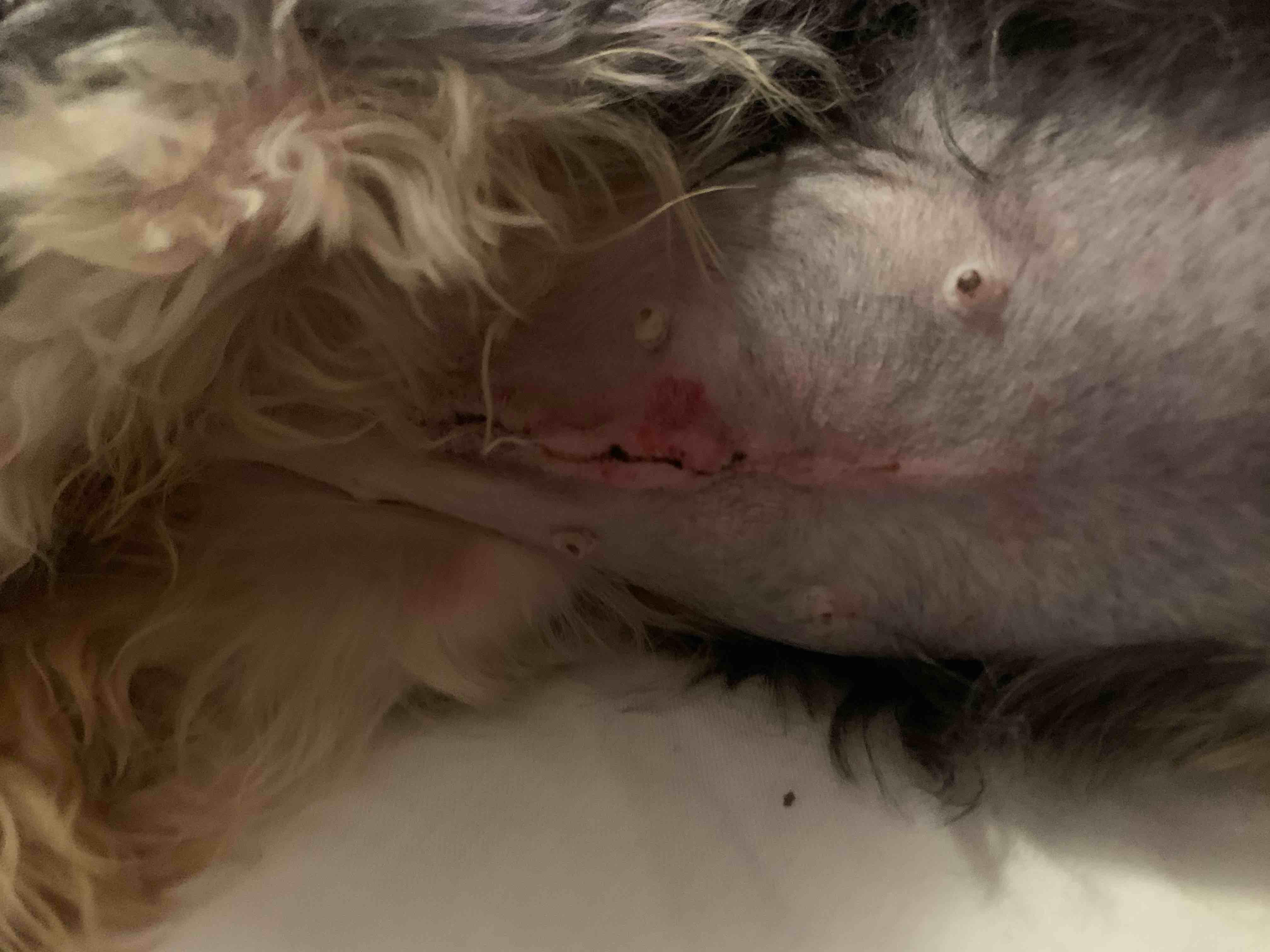 Question details sensitive content