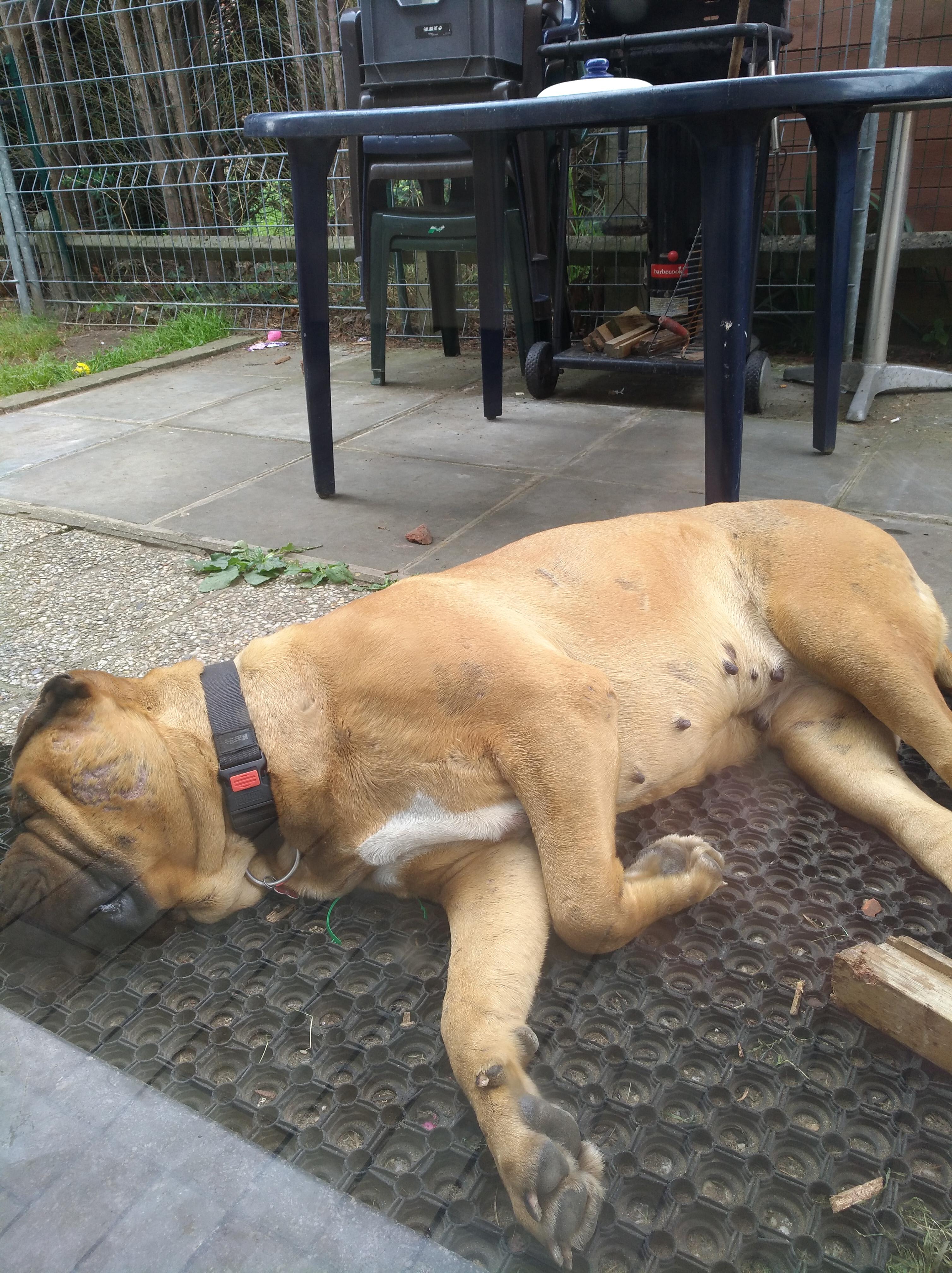 Question details sensitive content