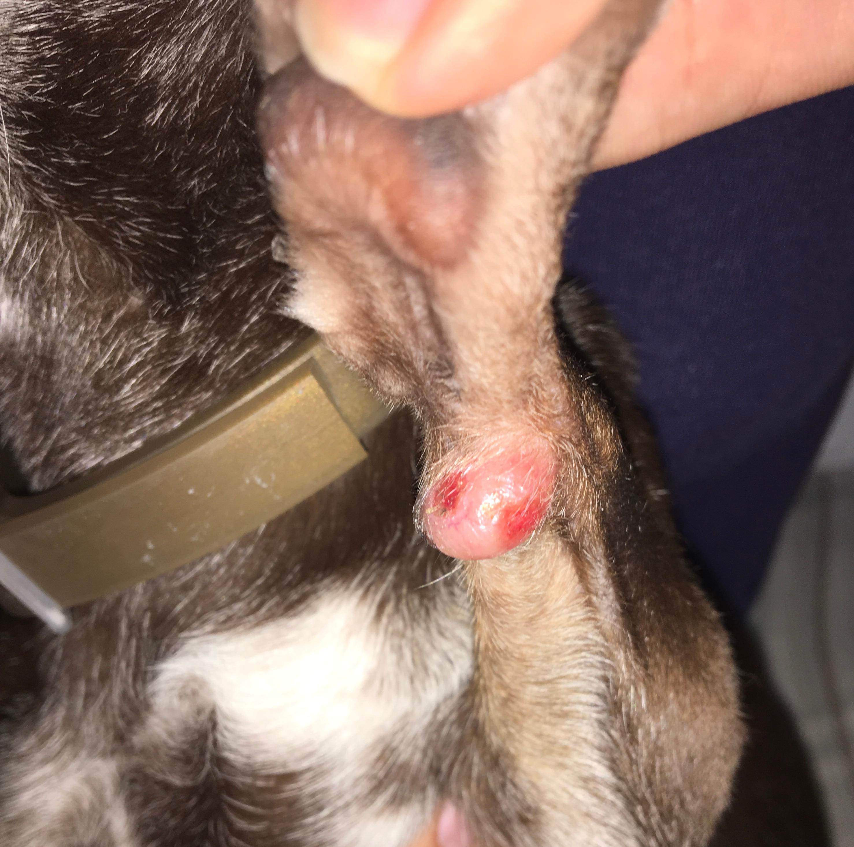 Question details sensitive content