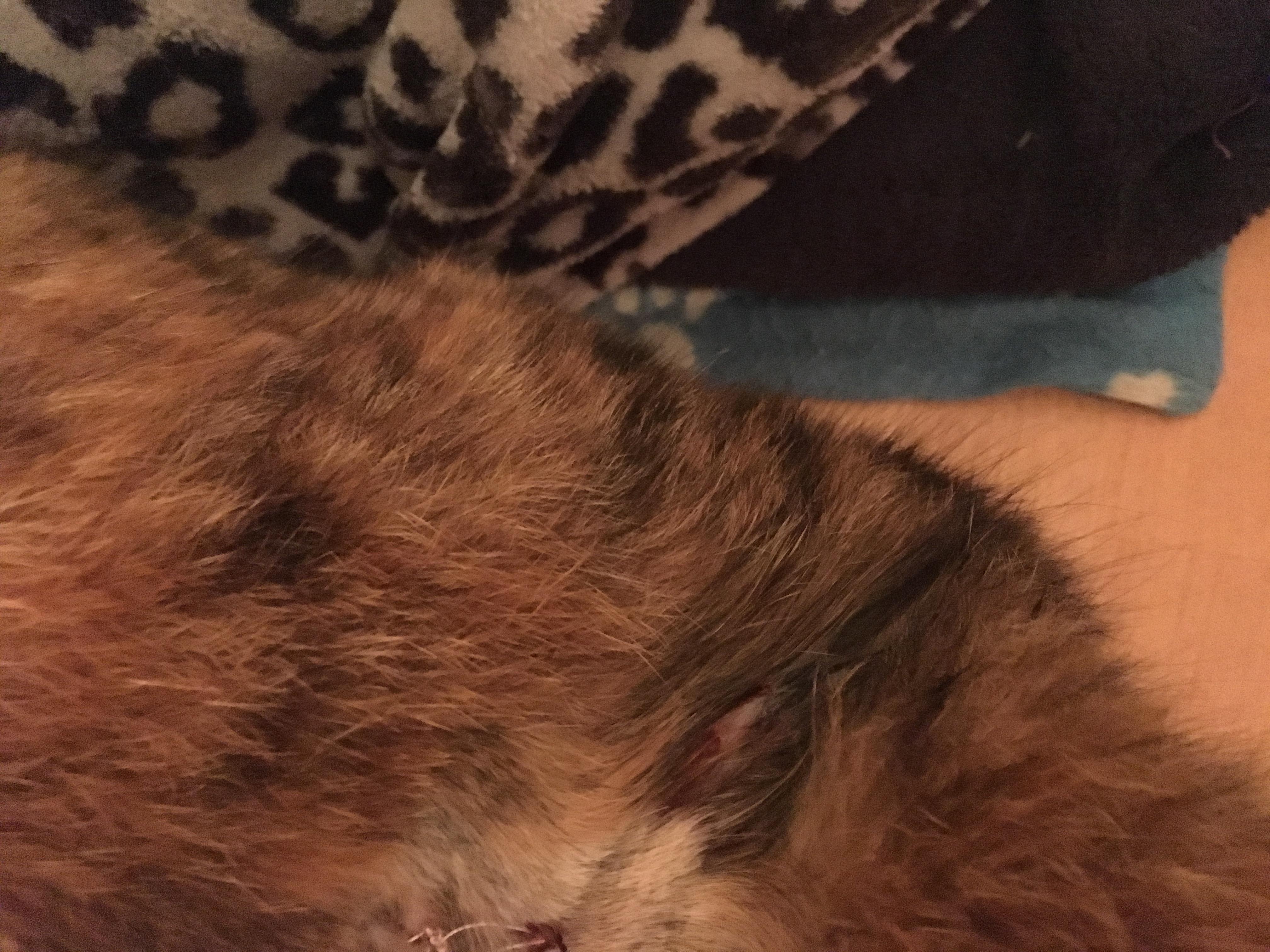 Question details sensitive content