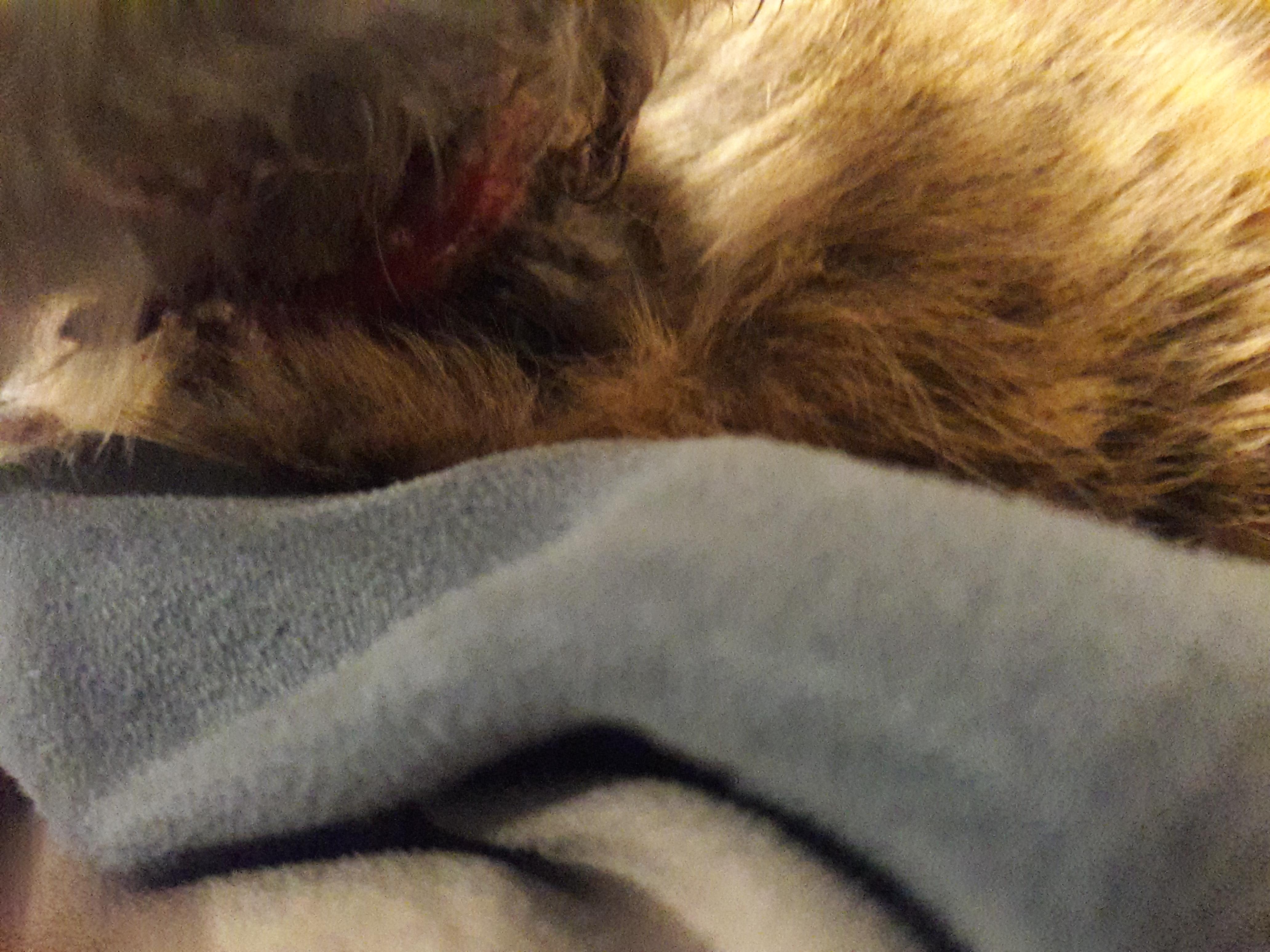 Question details sensitive content