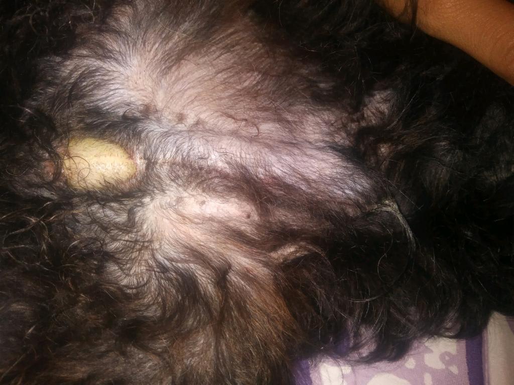 Question details sensitive content