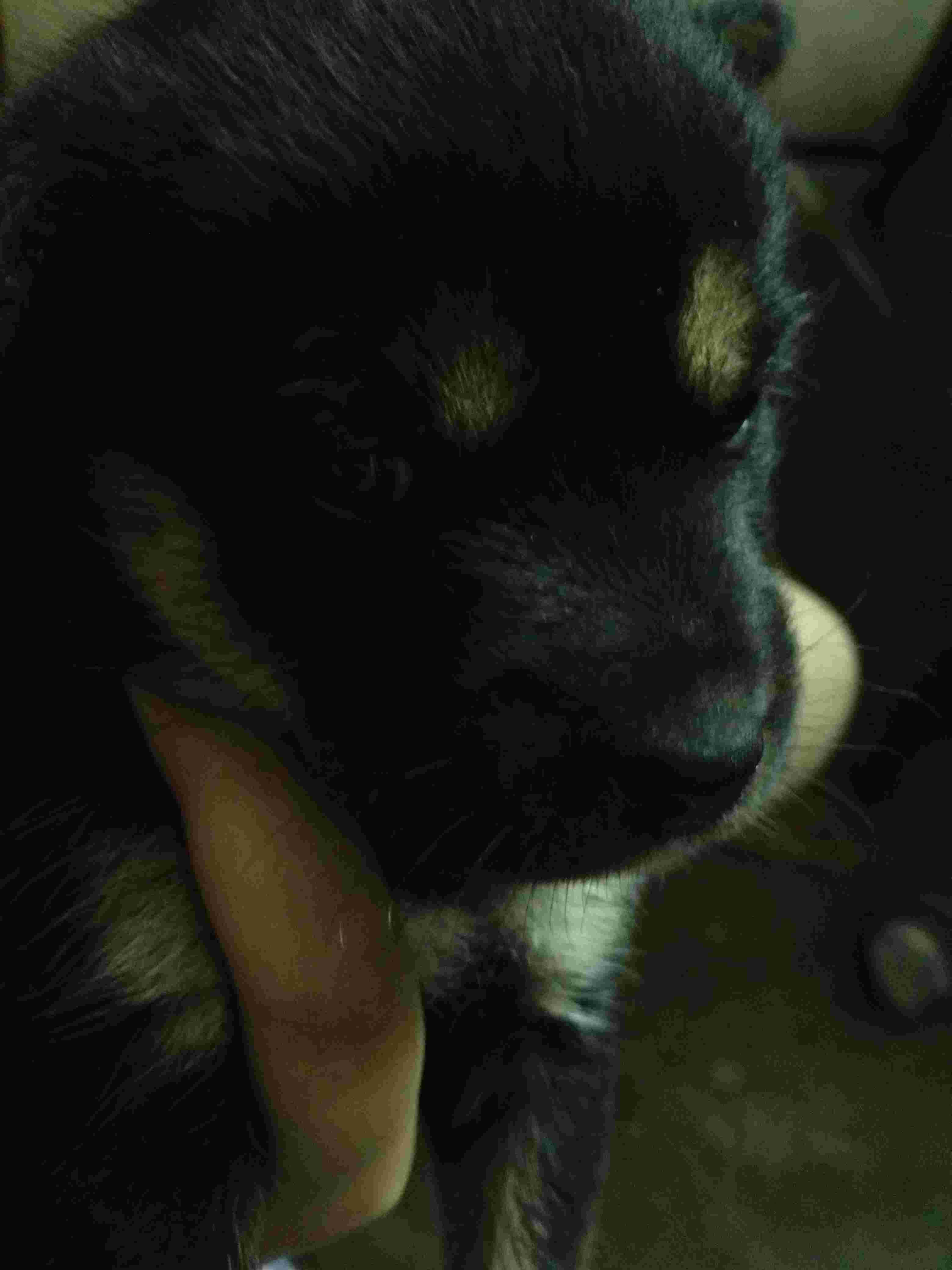 Question details sensitive content