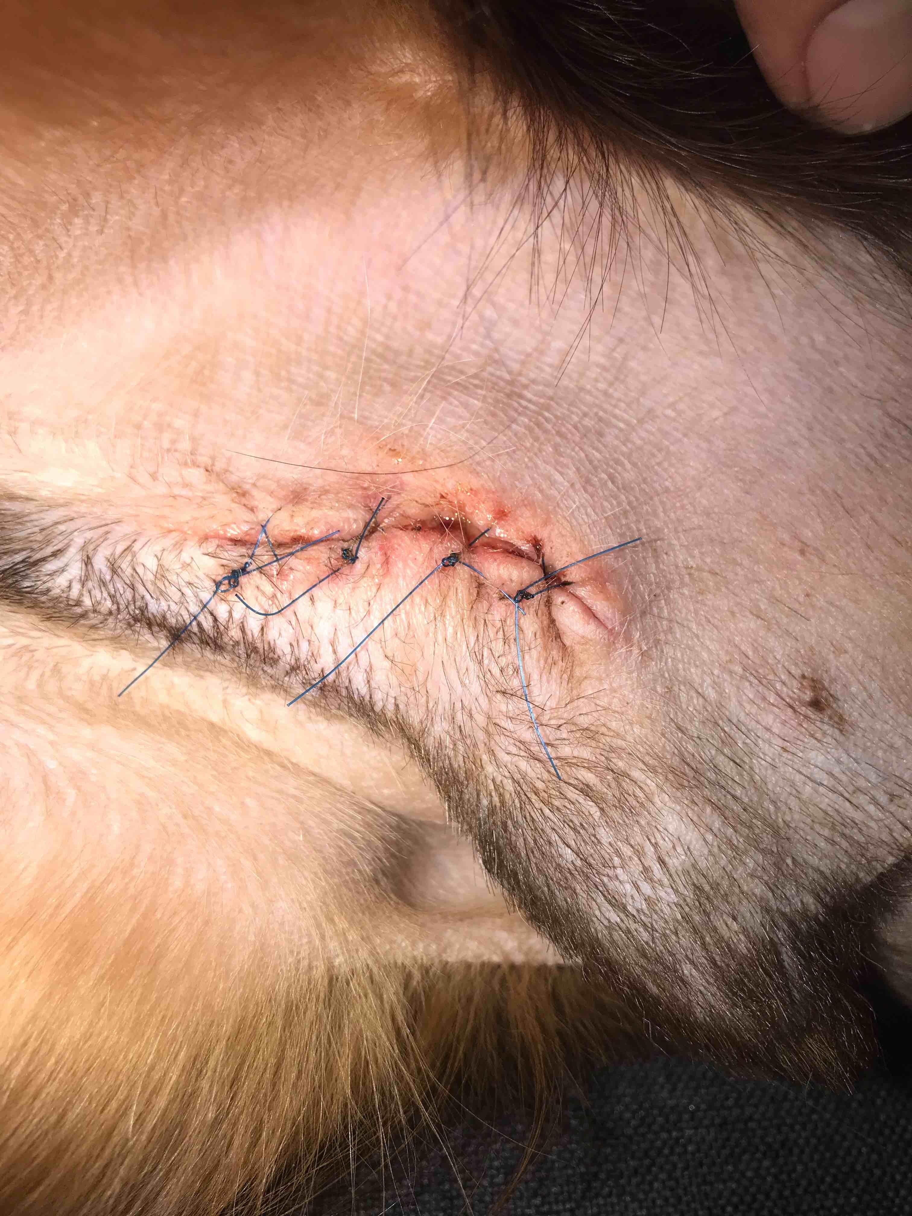 Question details sensitive content