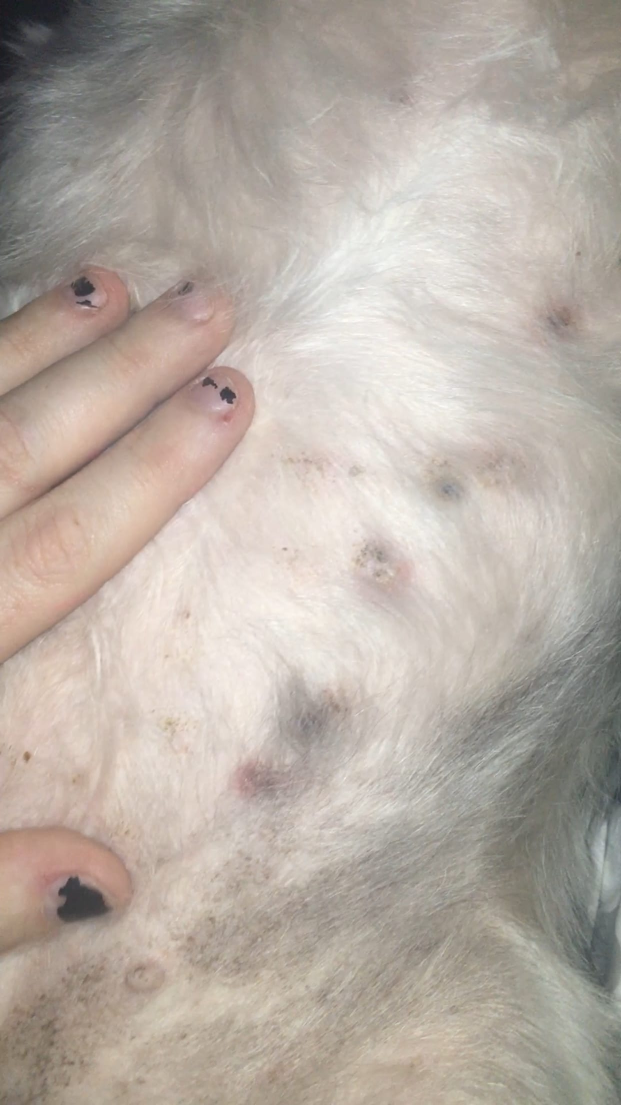 Question details sensitive content