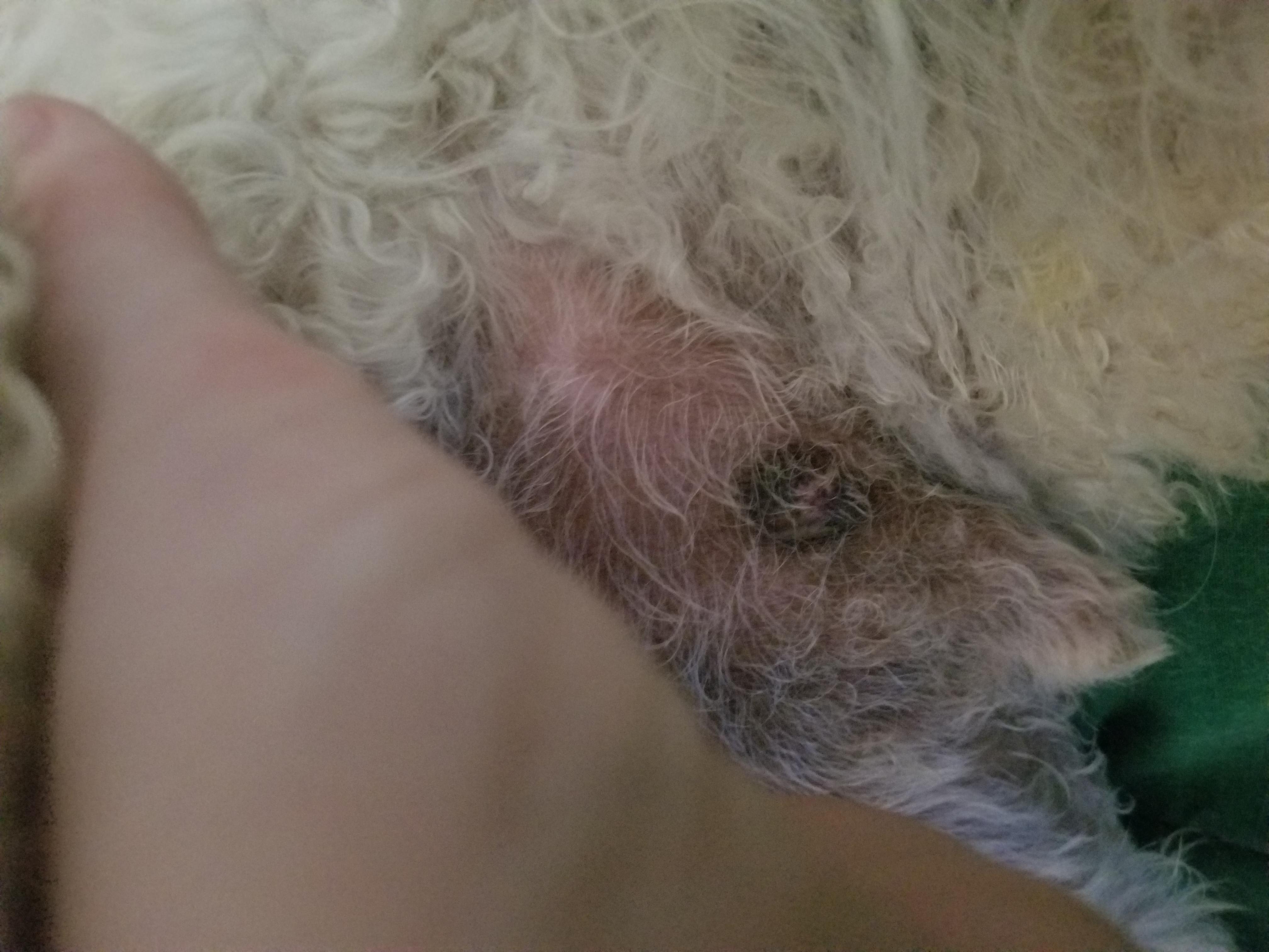 Question details sensitive content