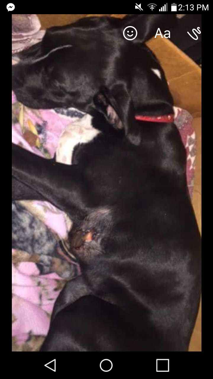 Question details sensitive content