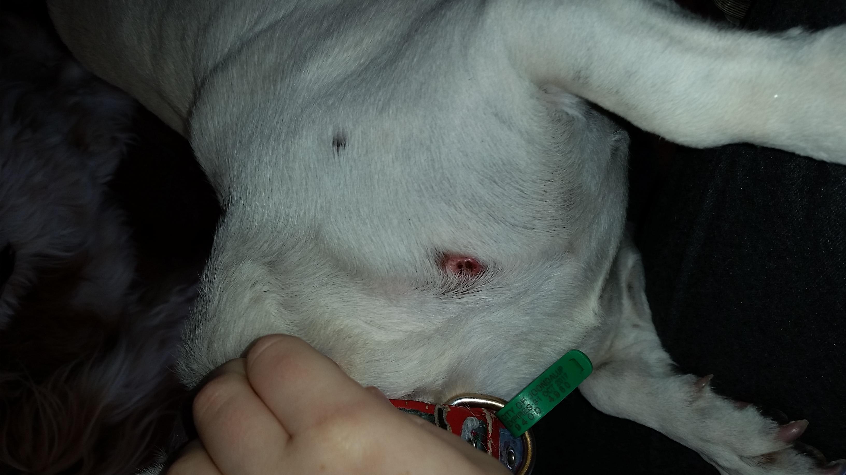 Question details sensitive content