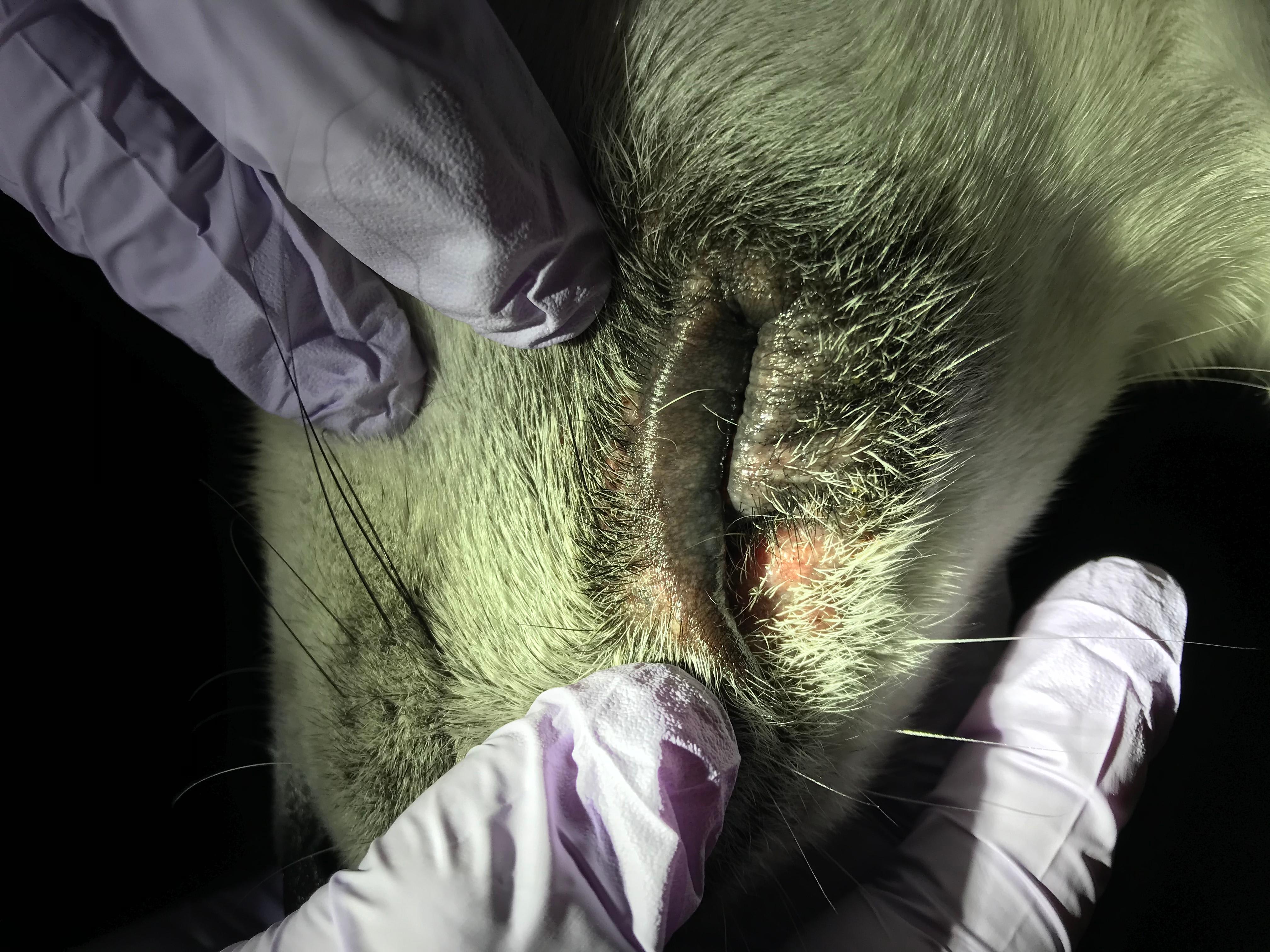 Question details sensitive content