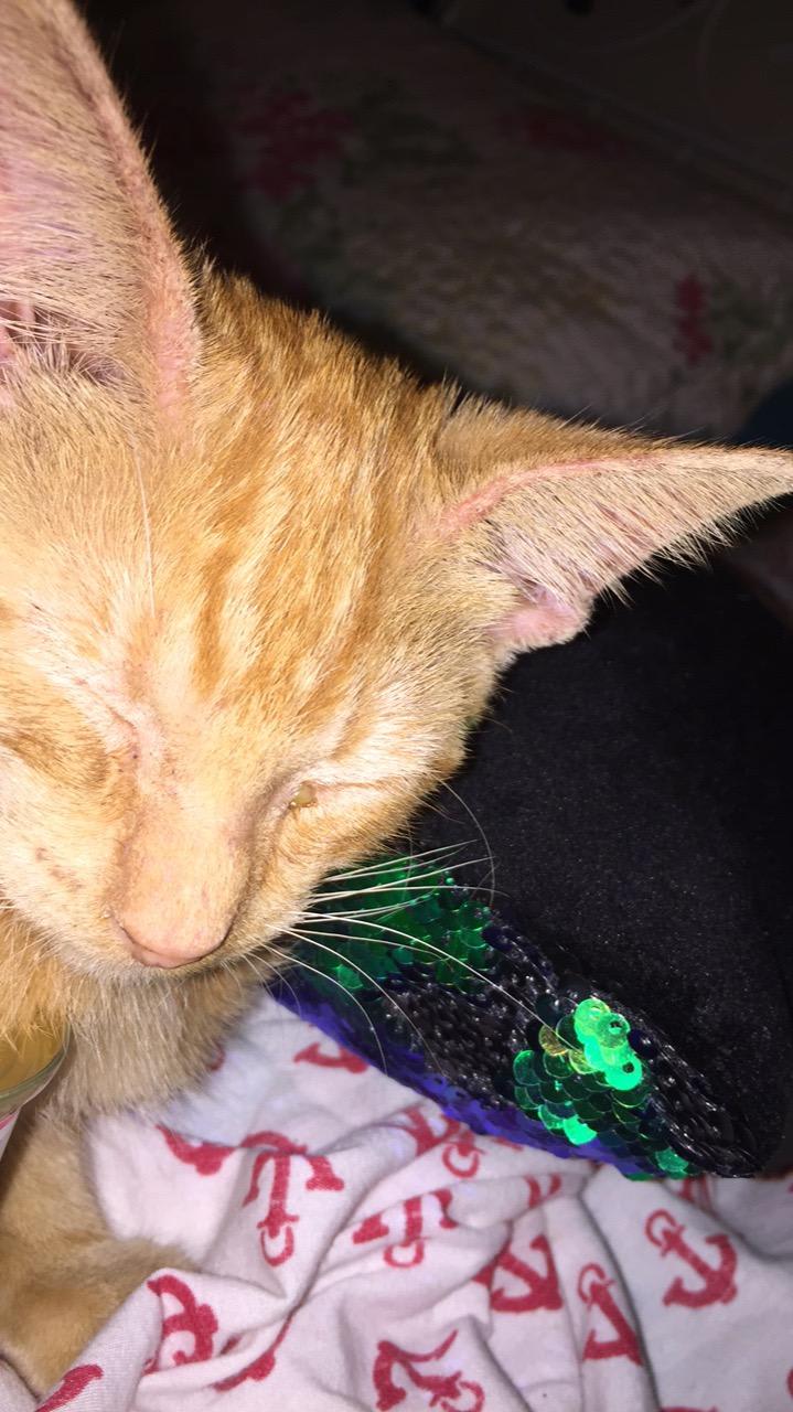 Question details sensitive content