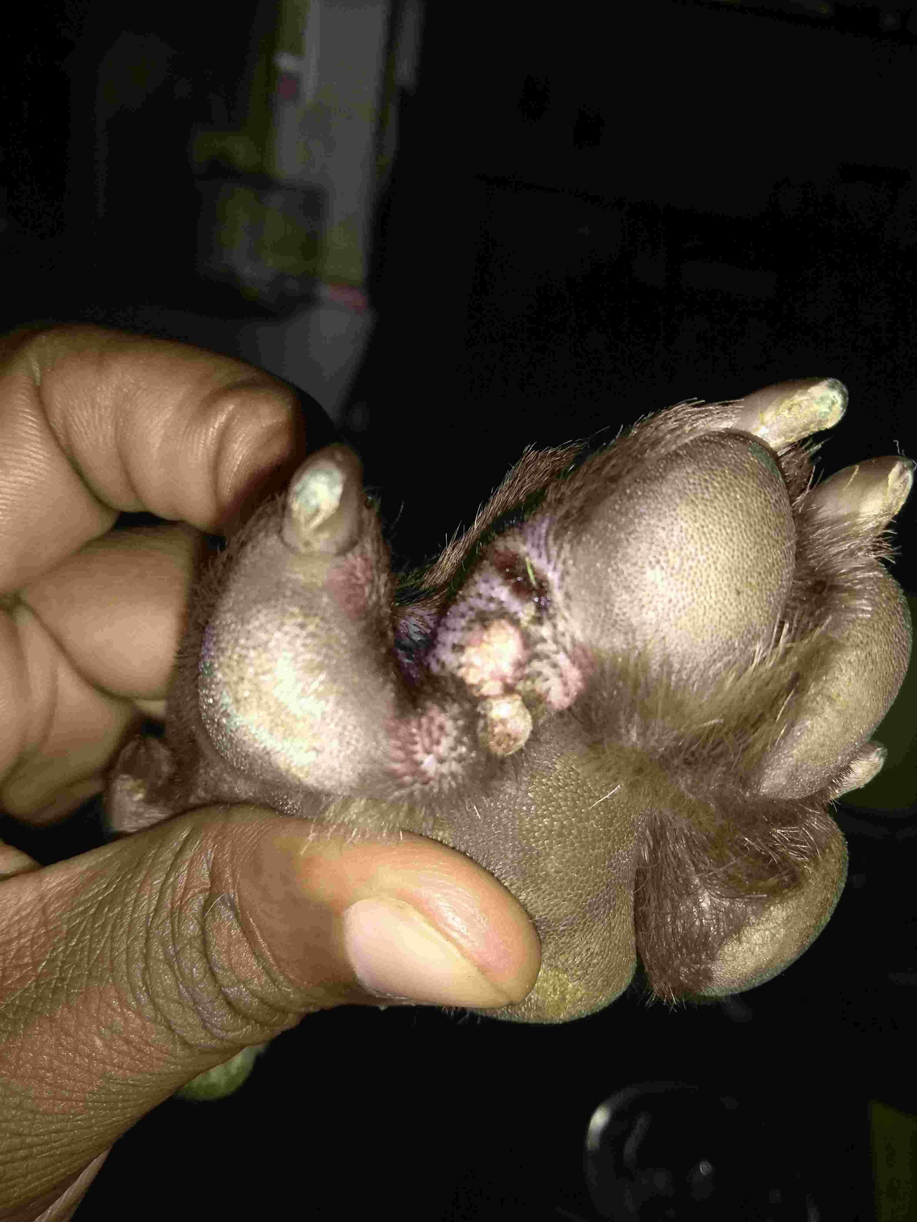 Question details sensitive content