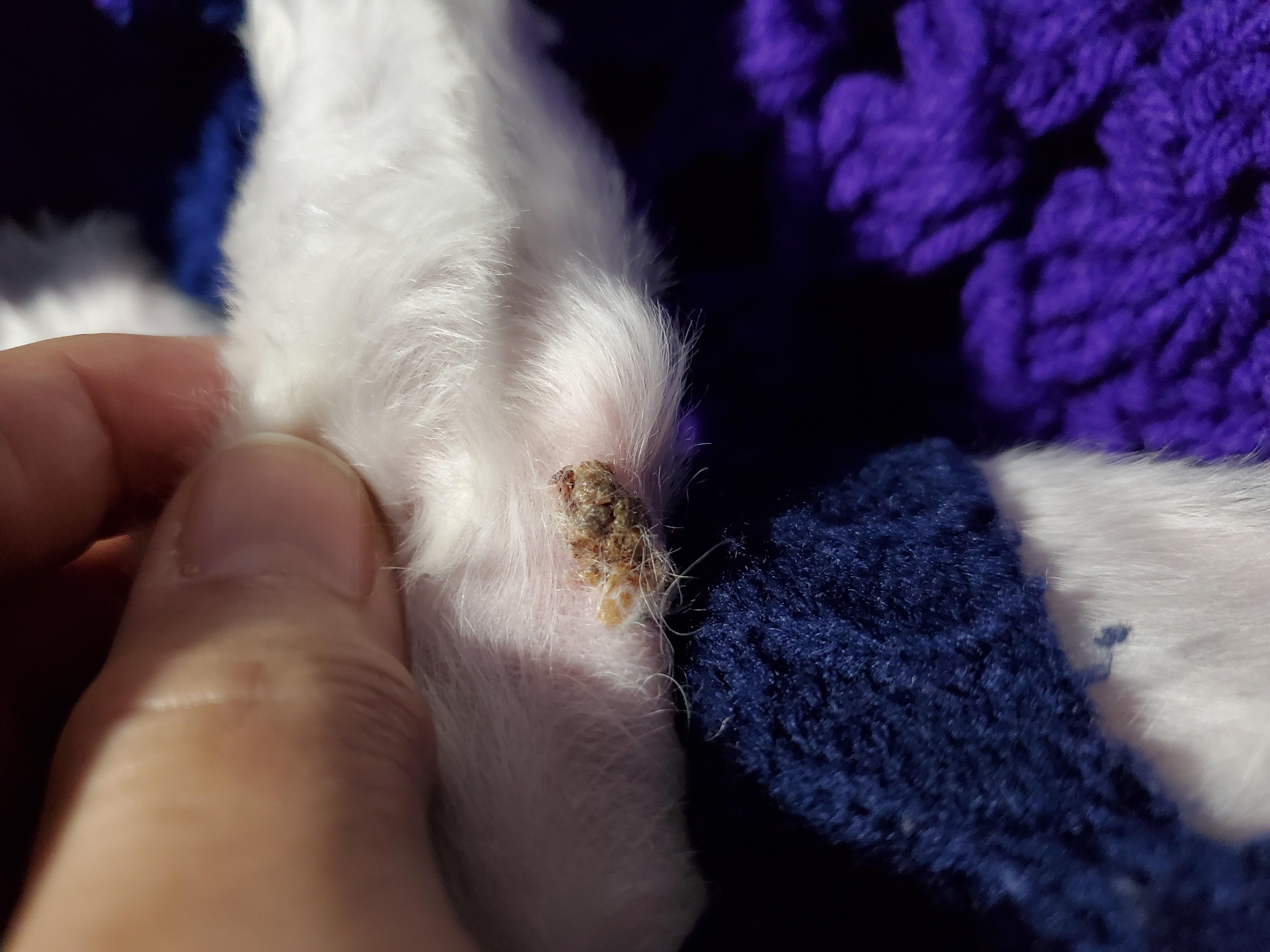 Question details sensitive content