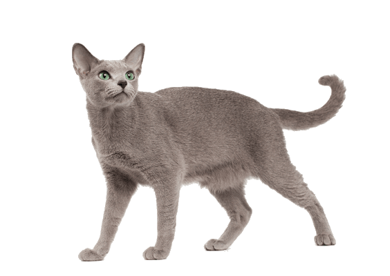 Petco Pet Education Center