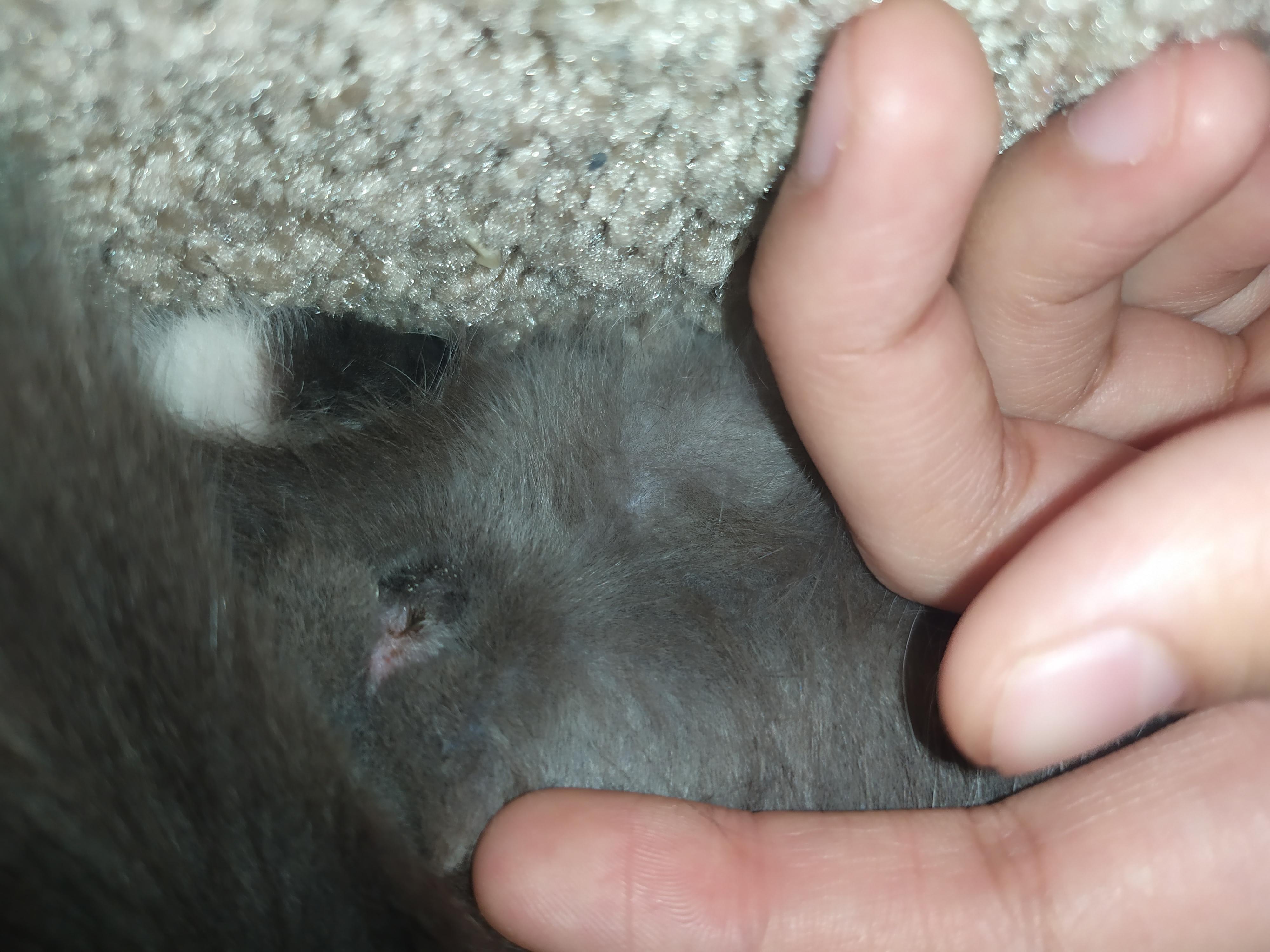 Question details sensitive content