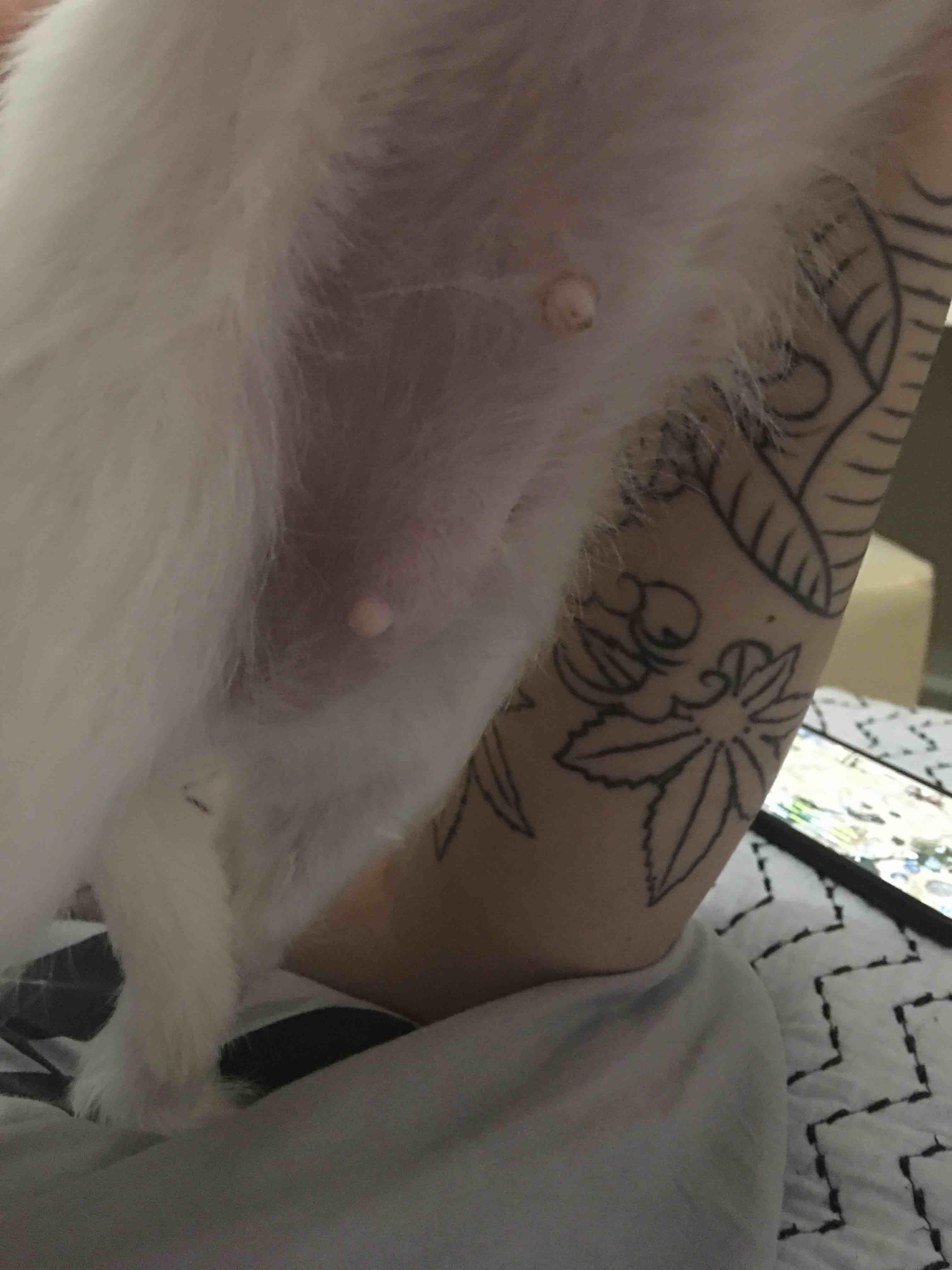 Question details sensitive content