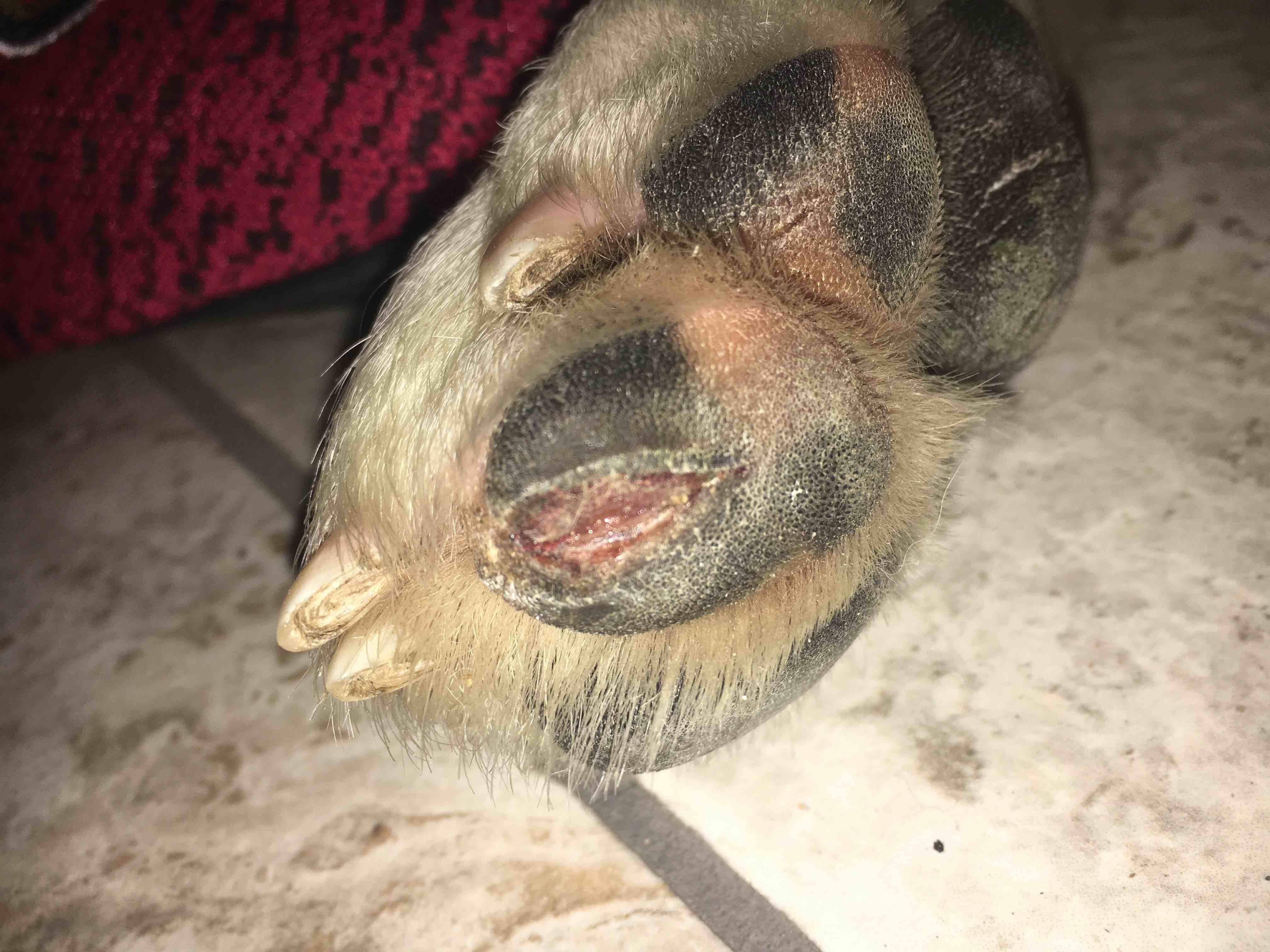 Question details sensitive content