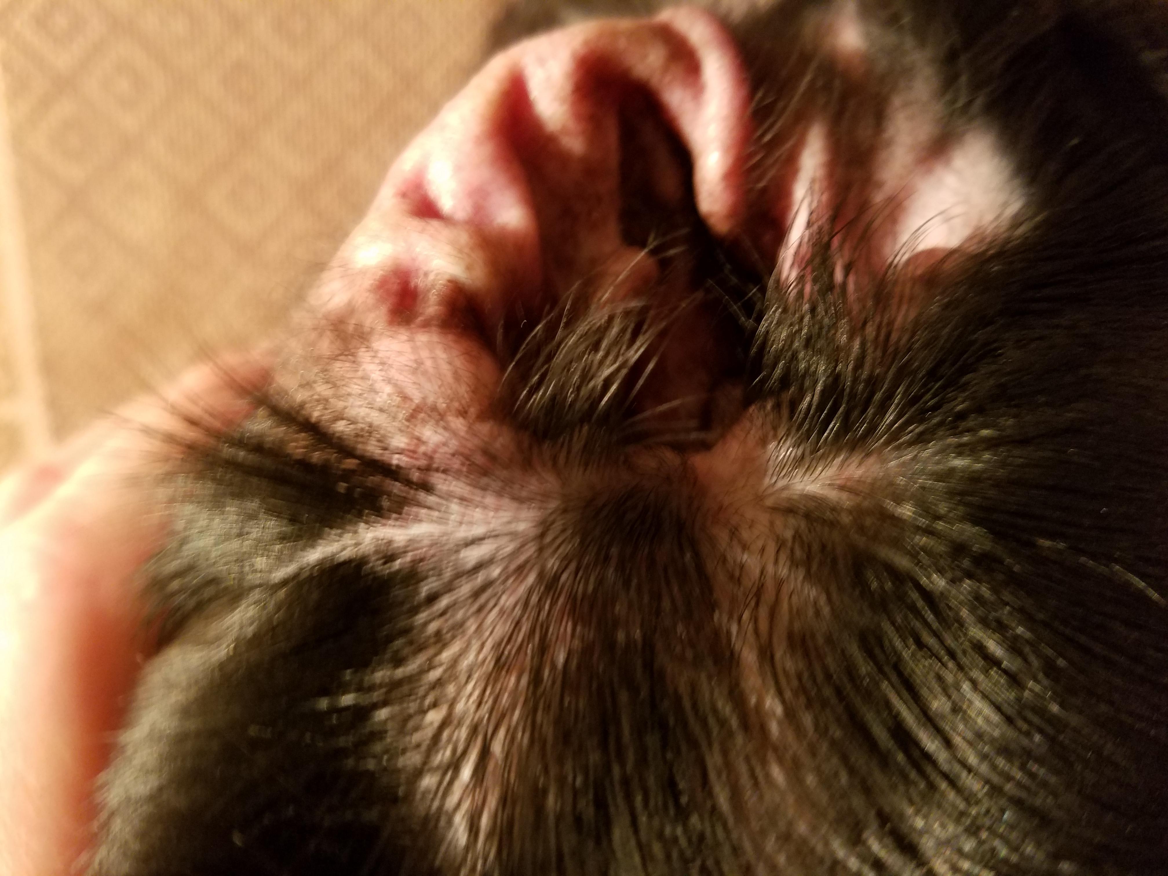 Question details sensitive content