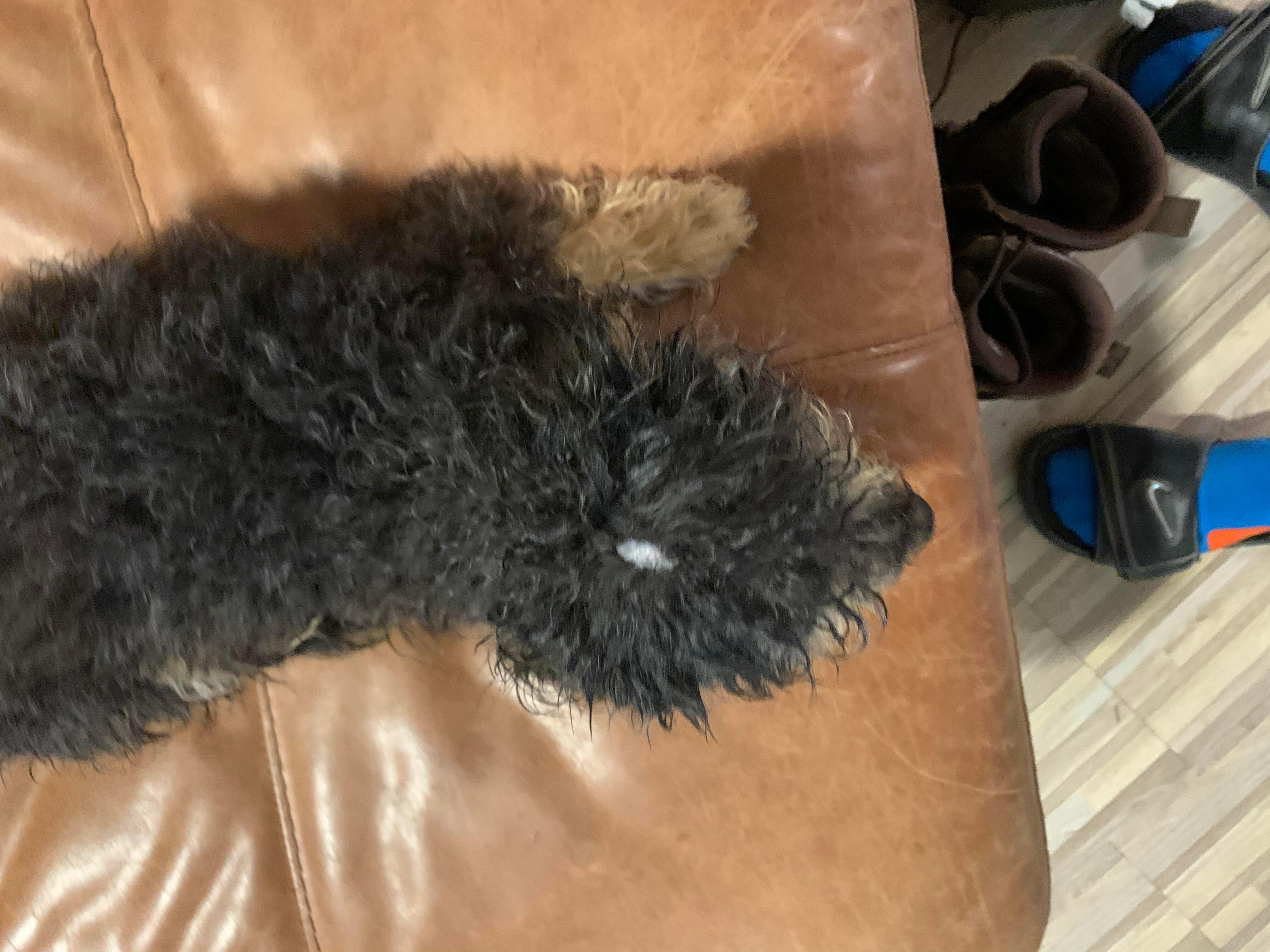 Question details sensitive content