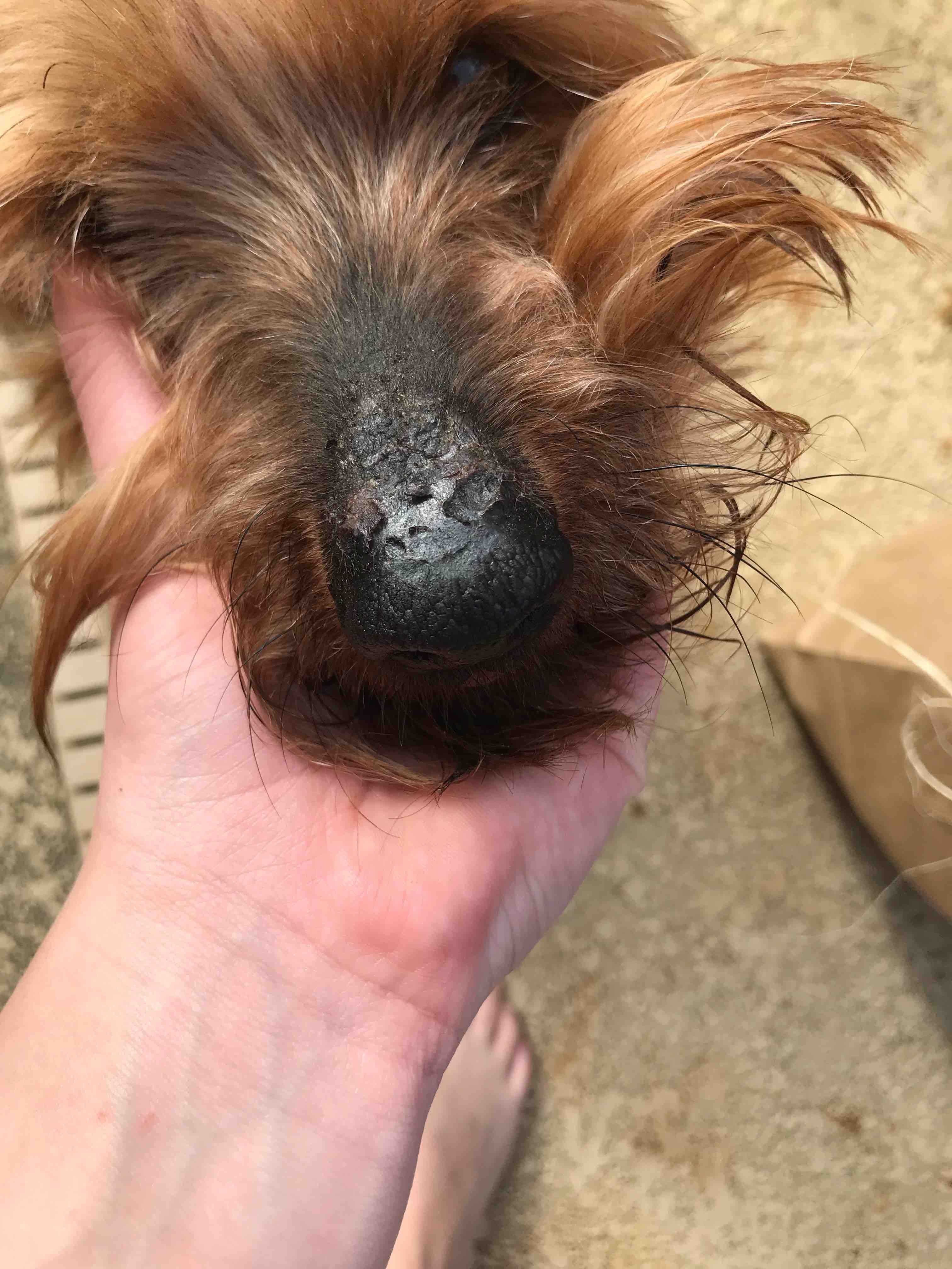 Question details sensitive content