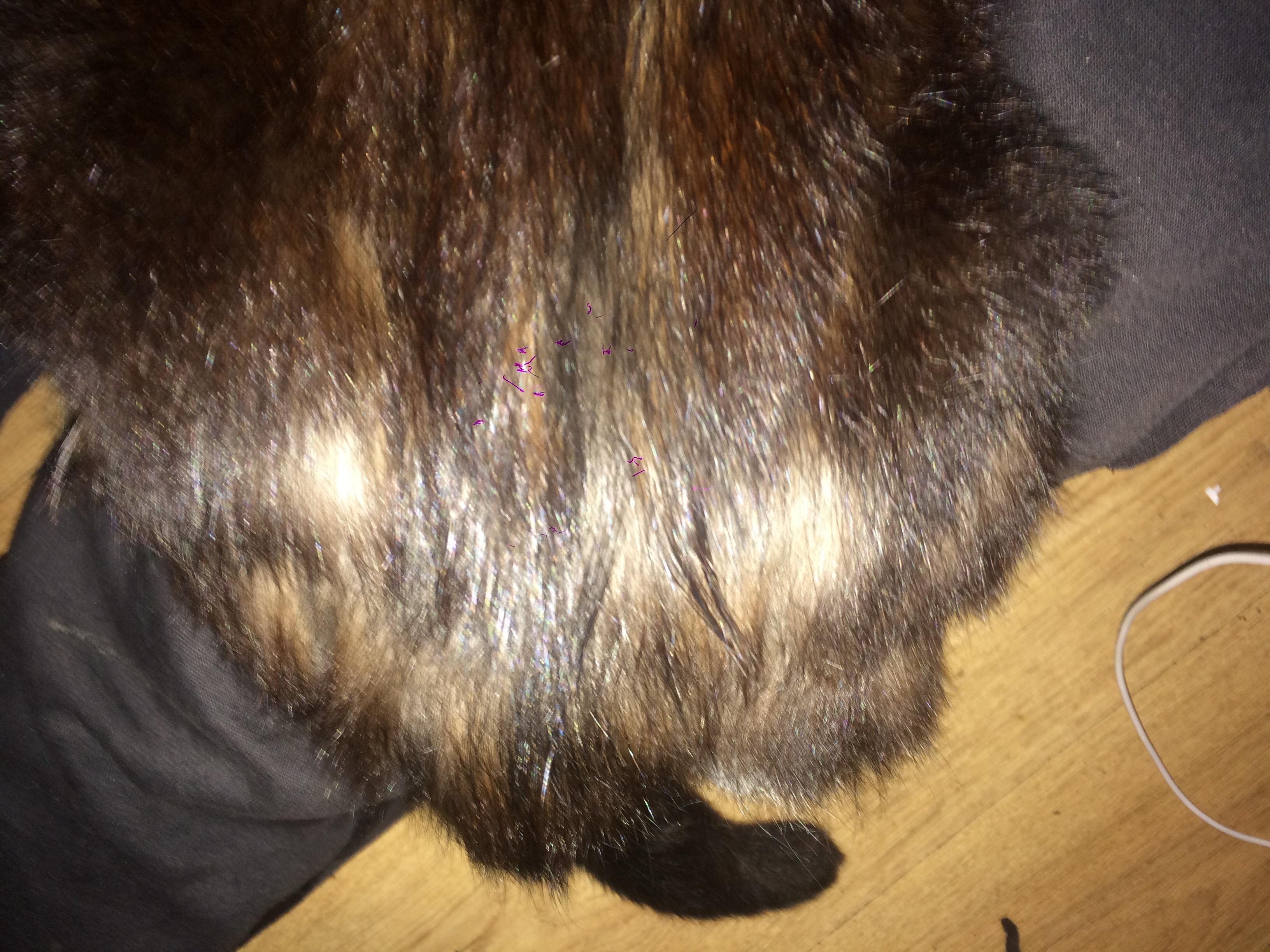 Question details sensitive content