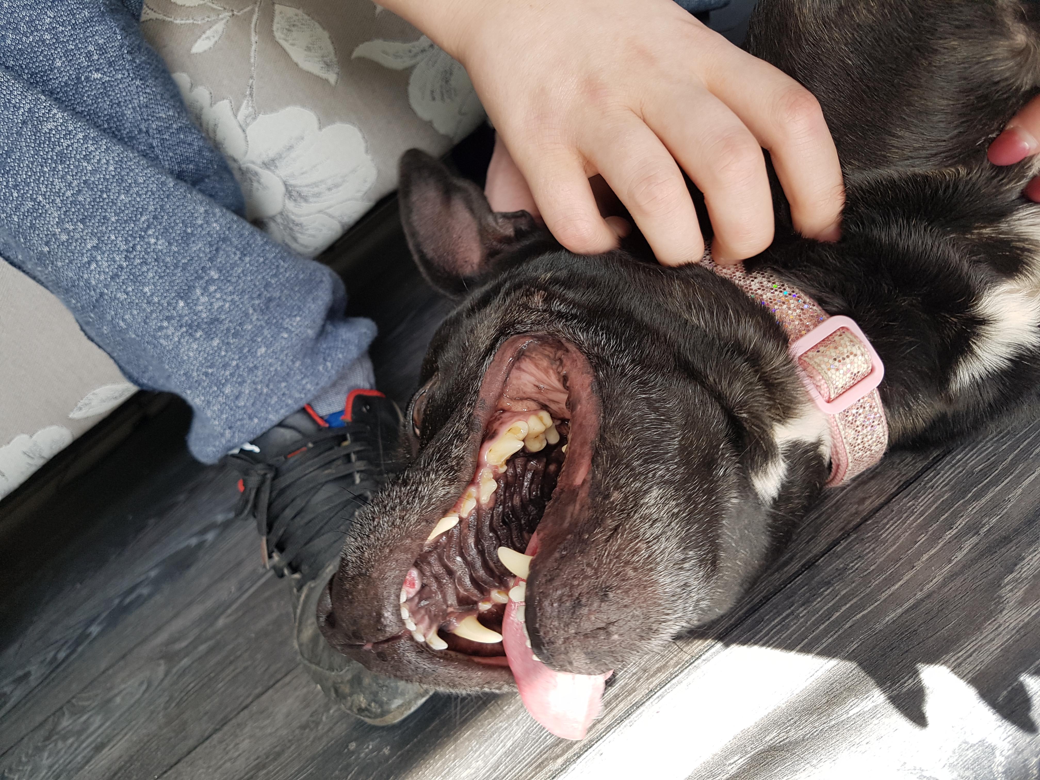 Question details sensitive content