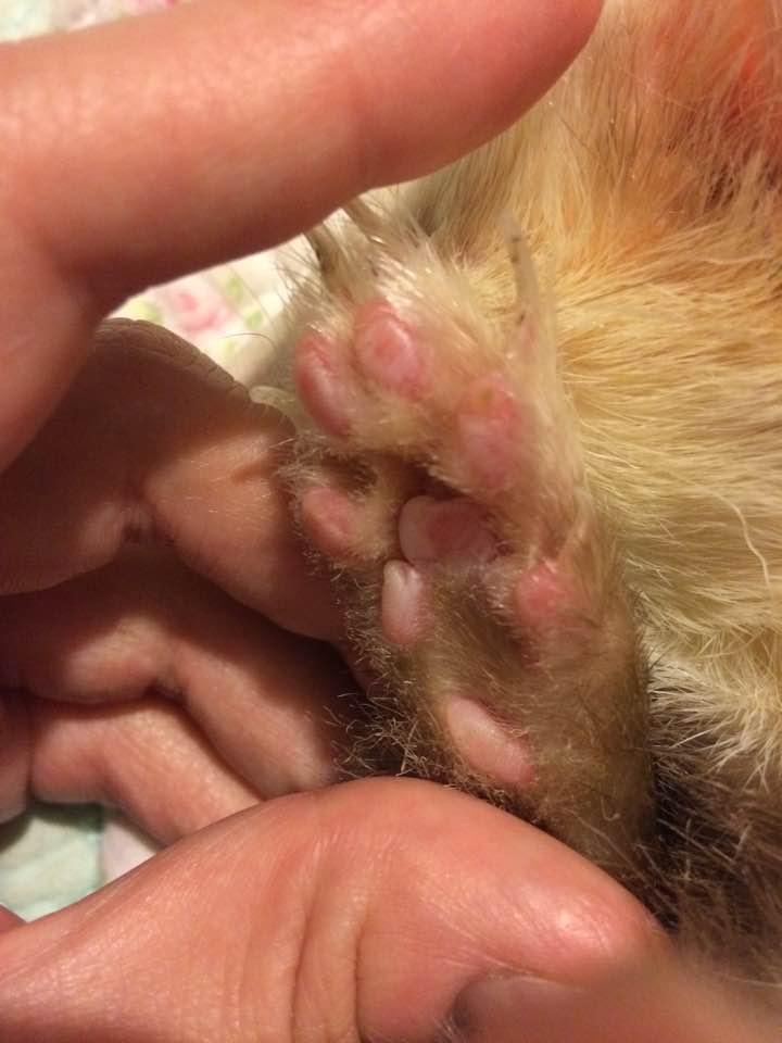 Question details sensitive content