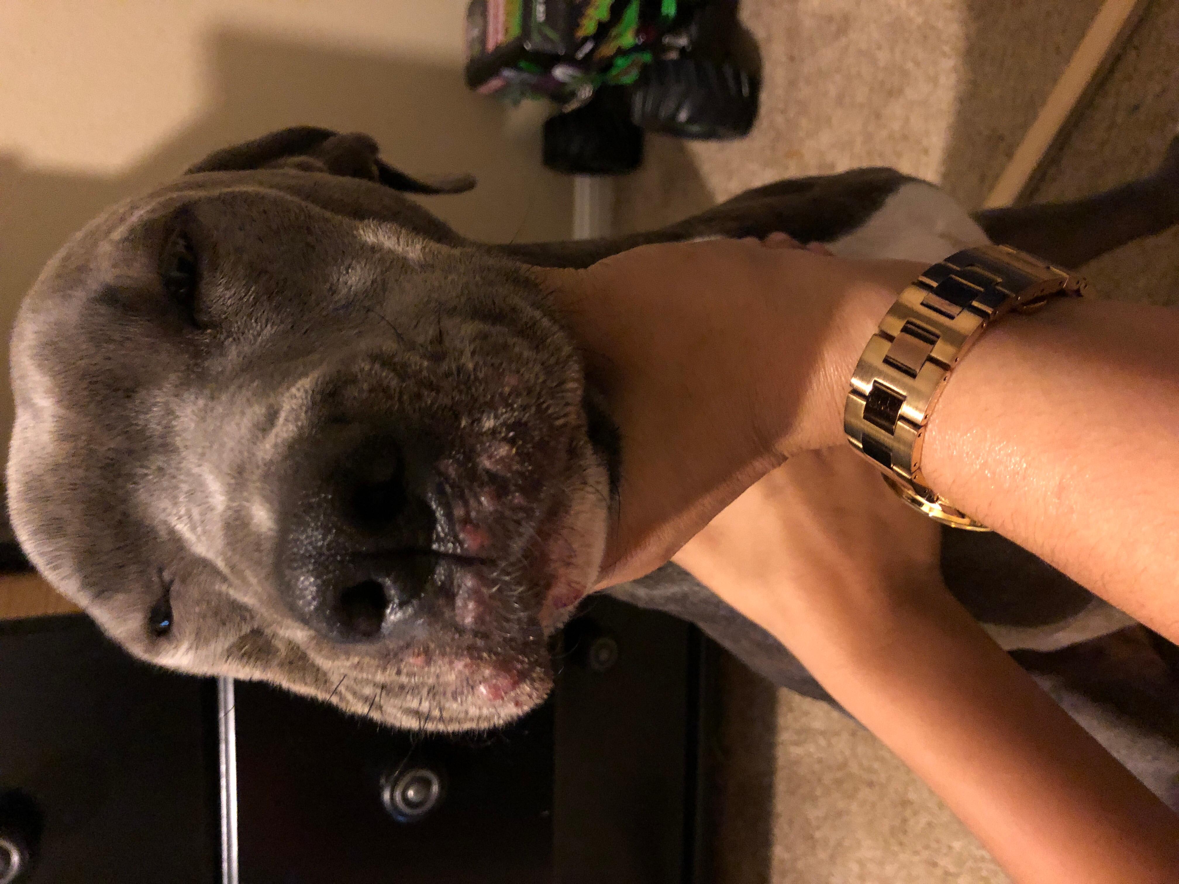 Question details sensitive content