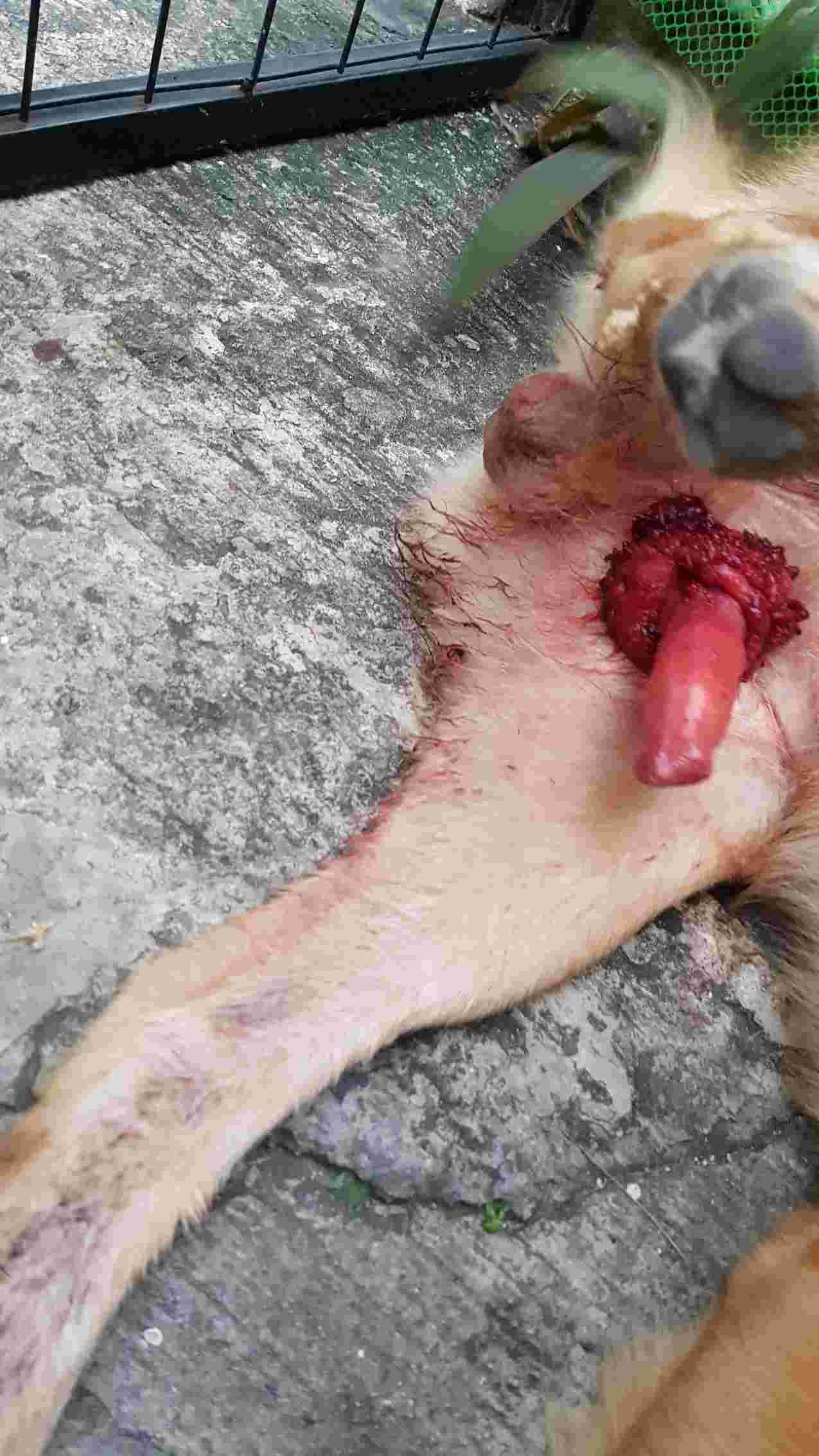 Question details sensitive content