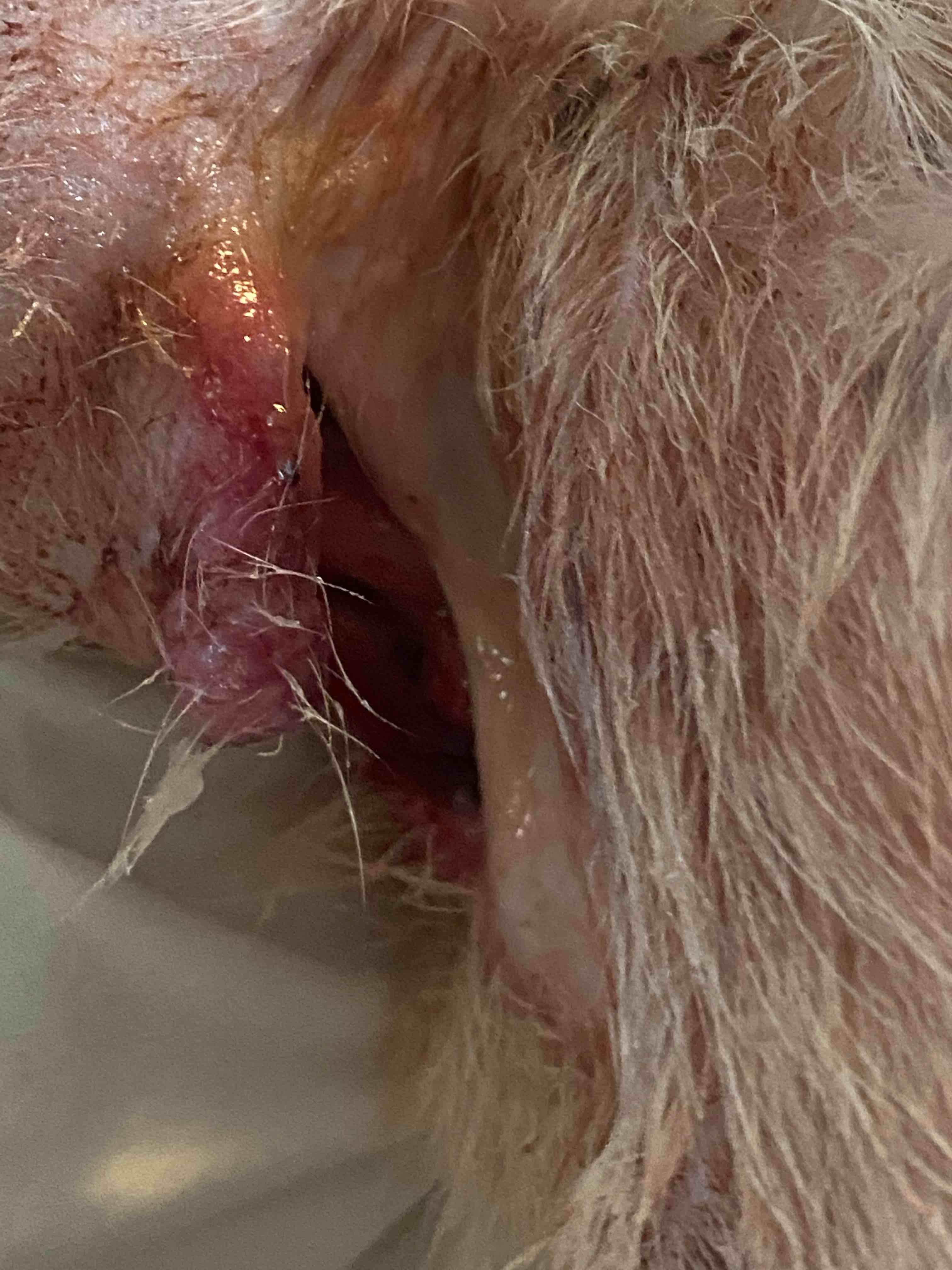 Question details sensitive content