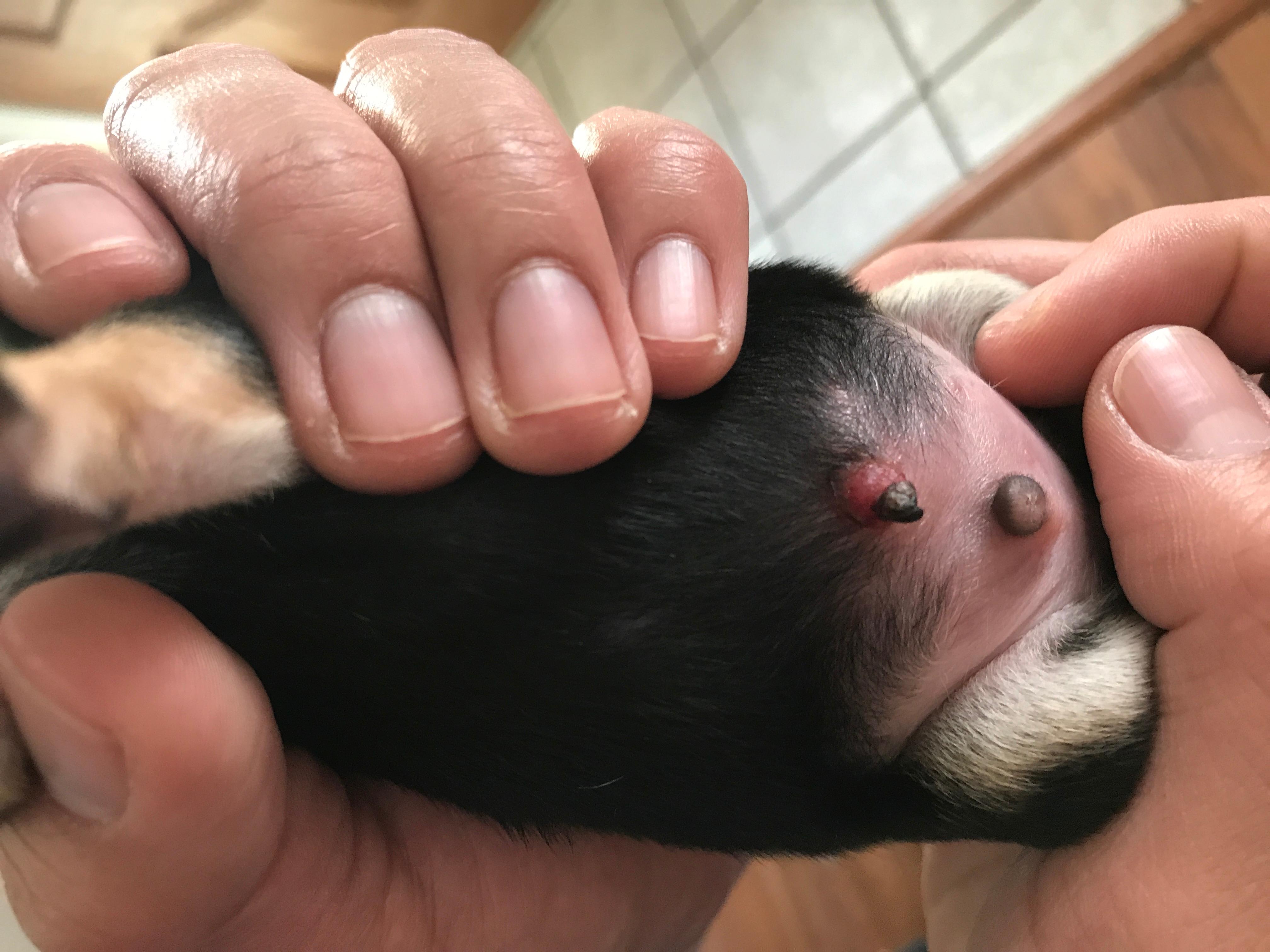 Question details sensitive content