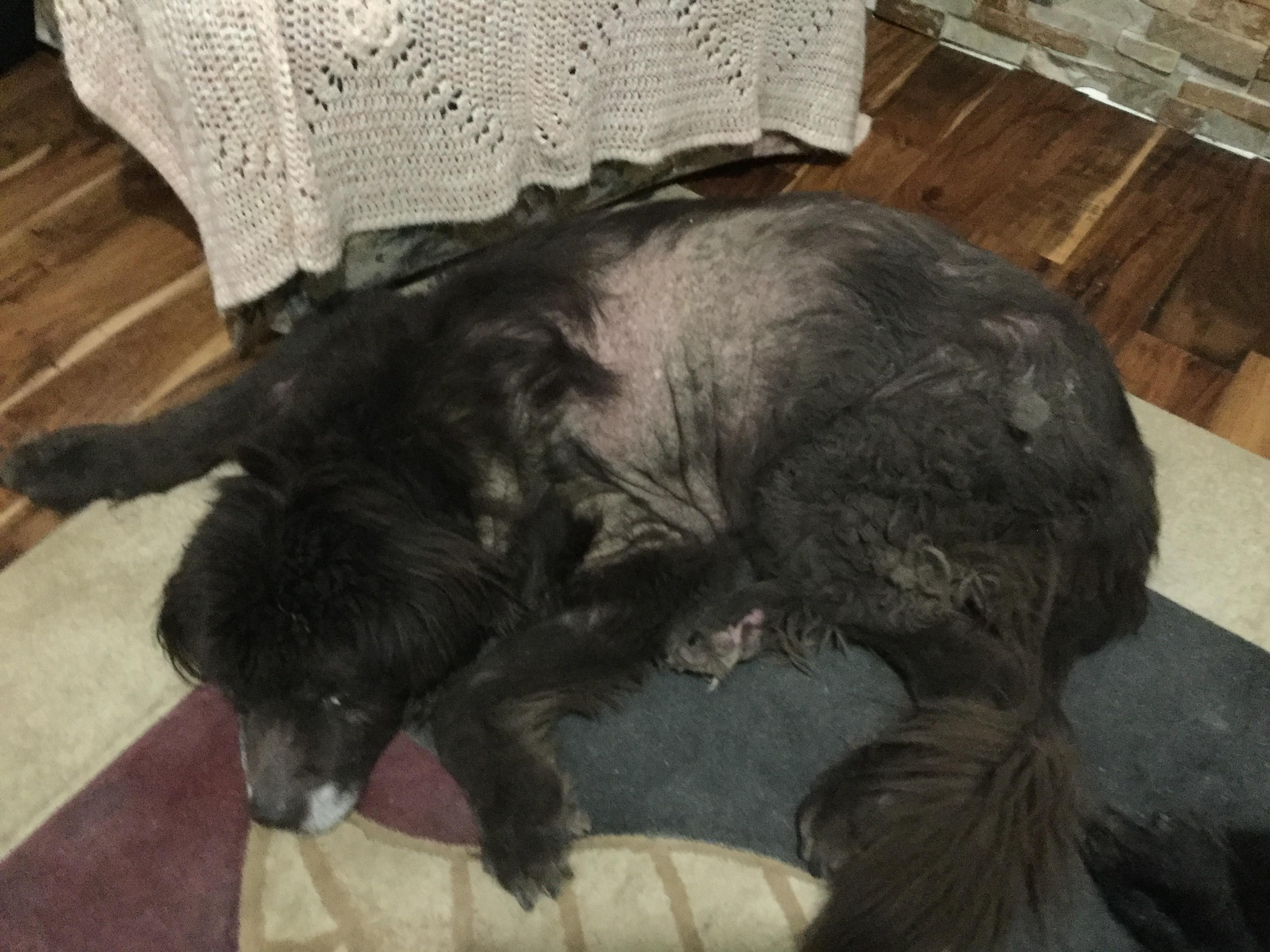 Question details sensitive content