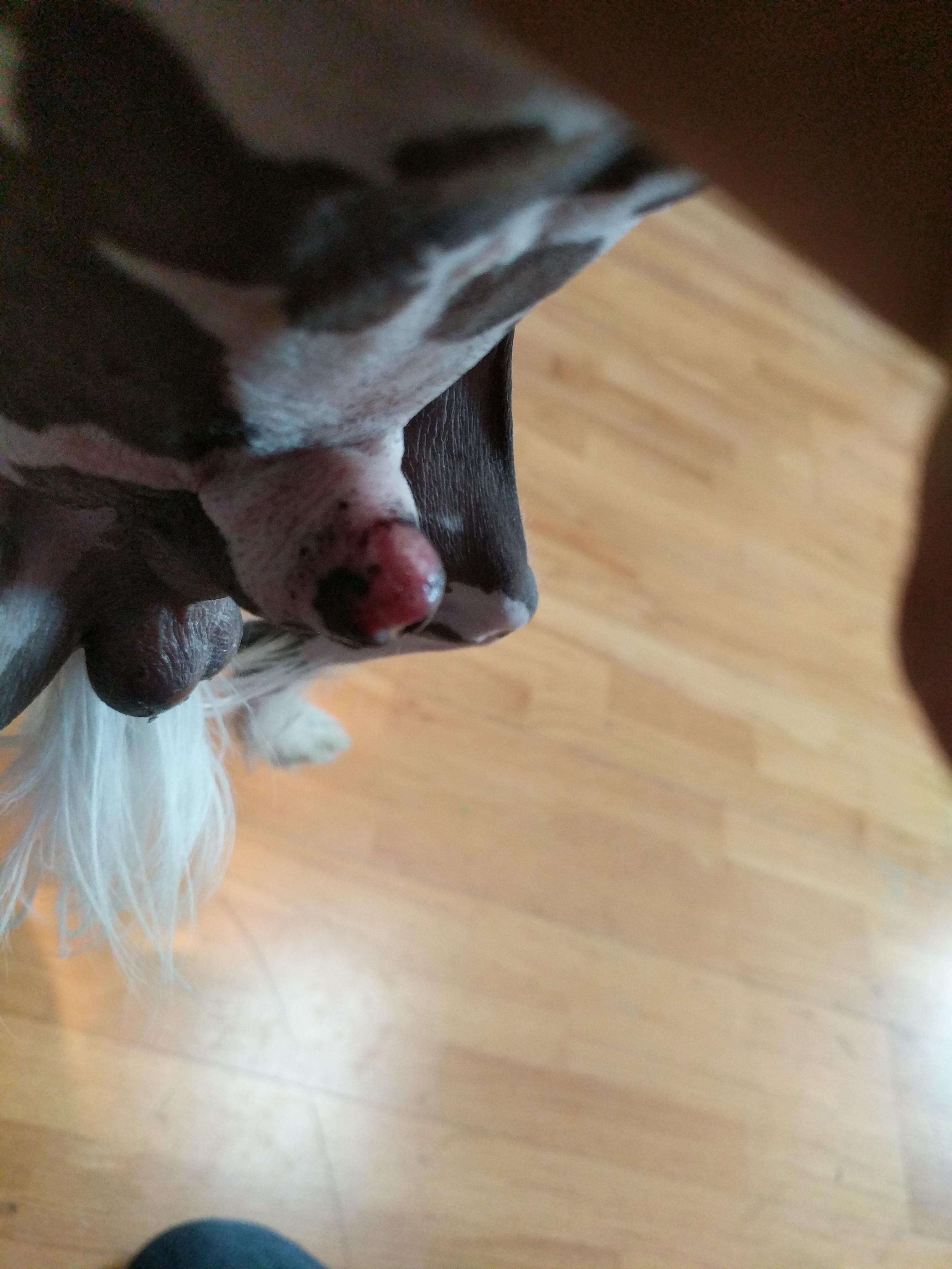 Question details sensitive content