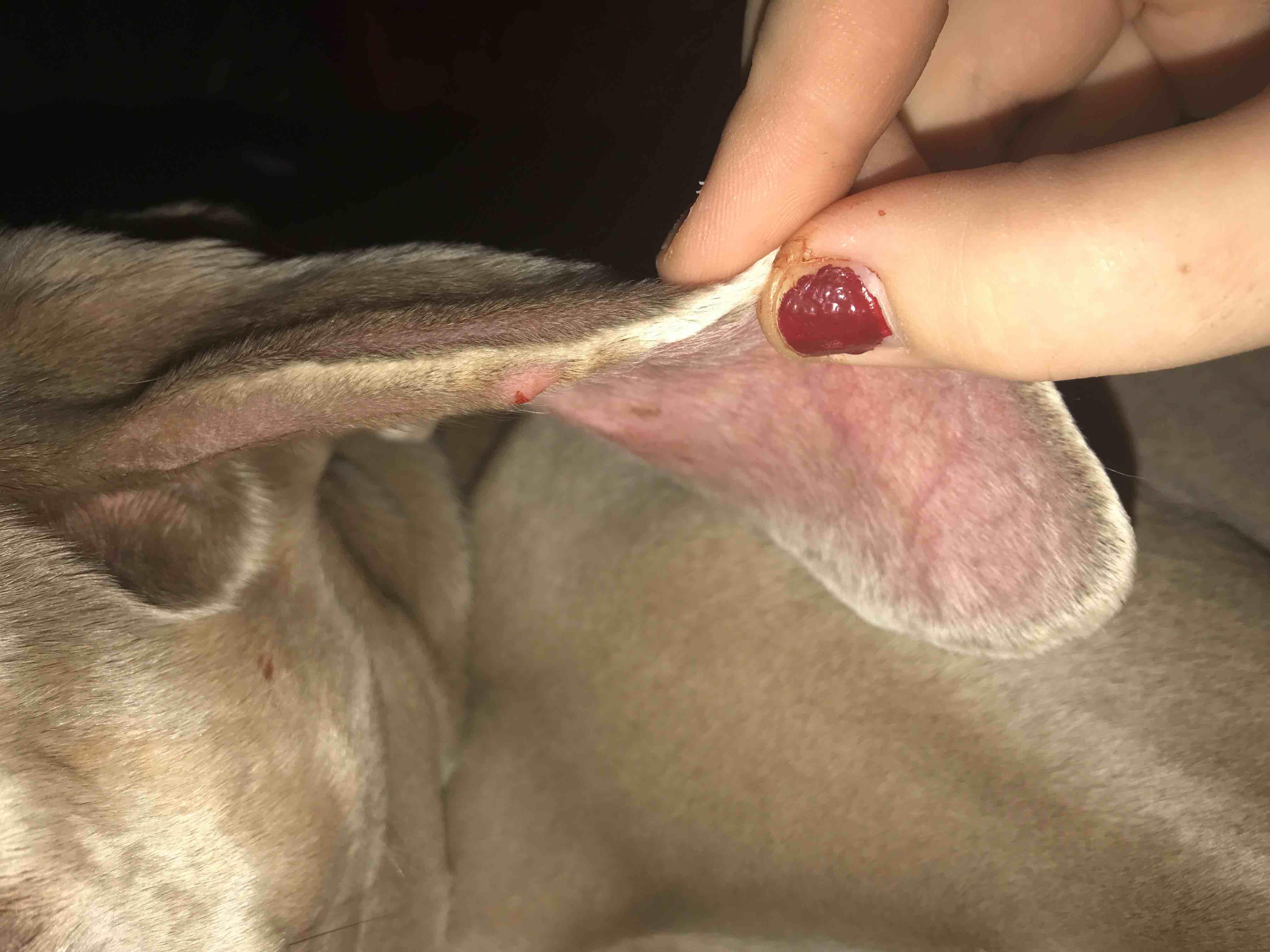 Question details sensitive content