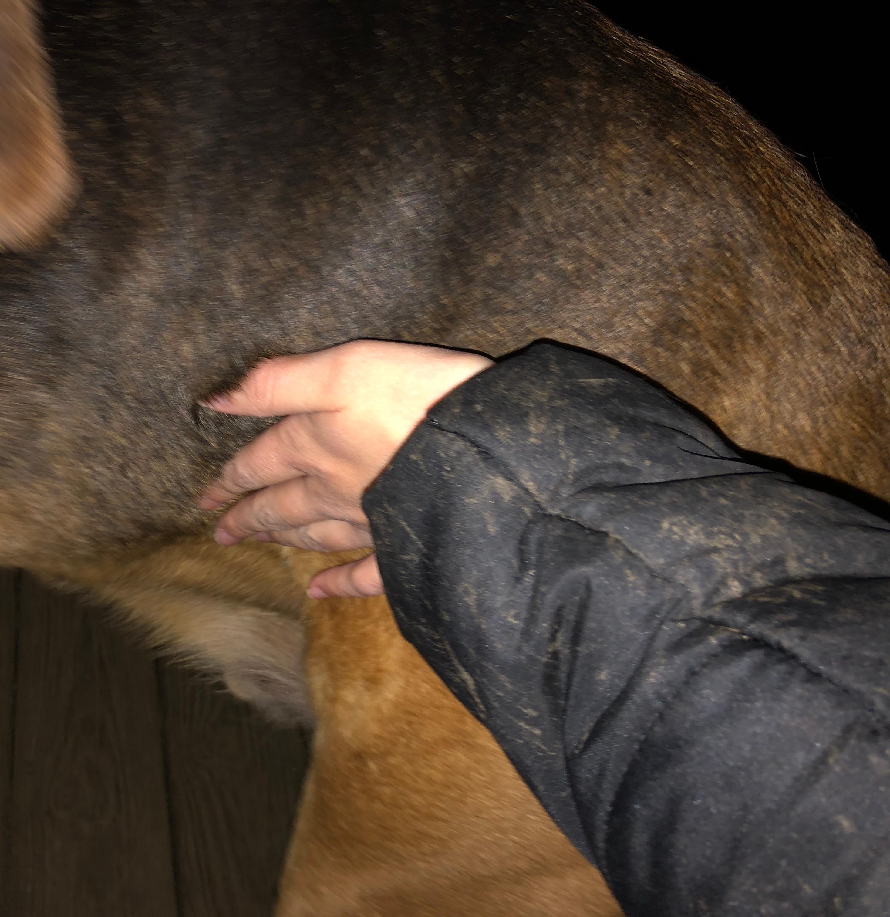 Question details sensitive content