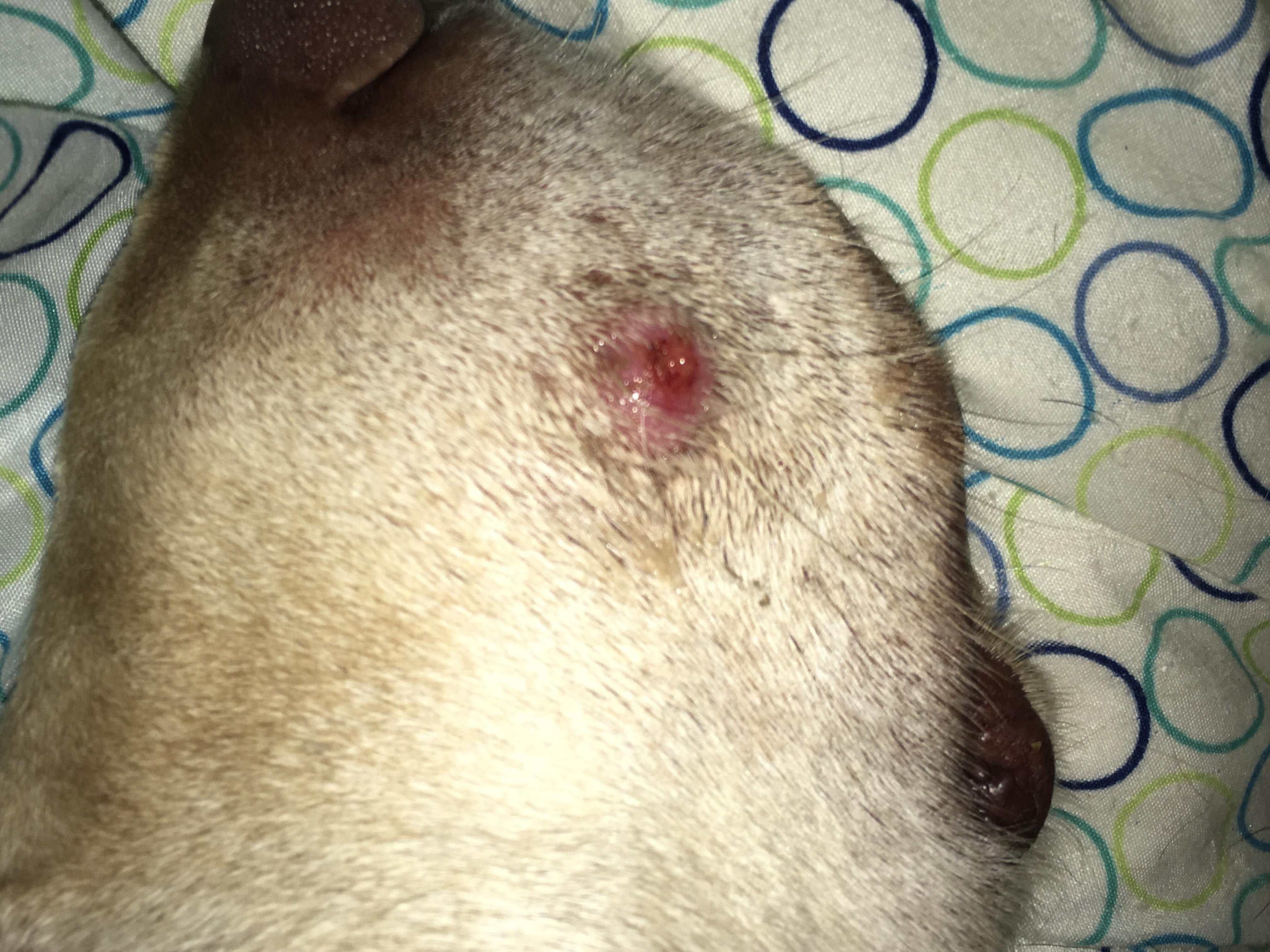 Question details sensitive content