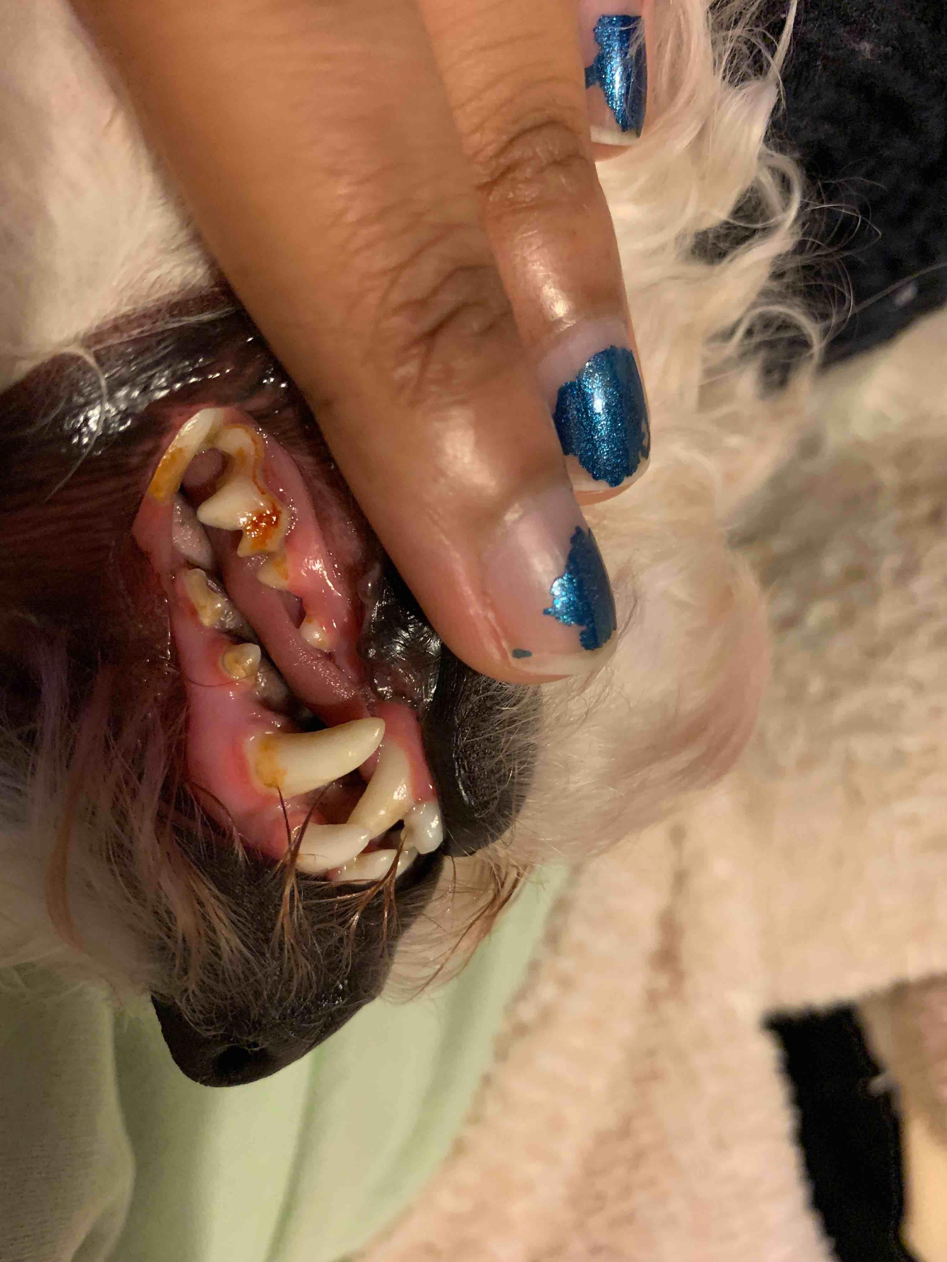 Question details sensitive content