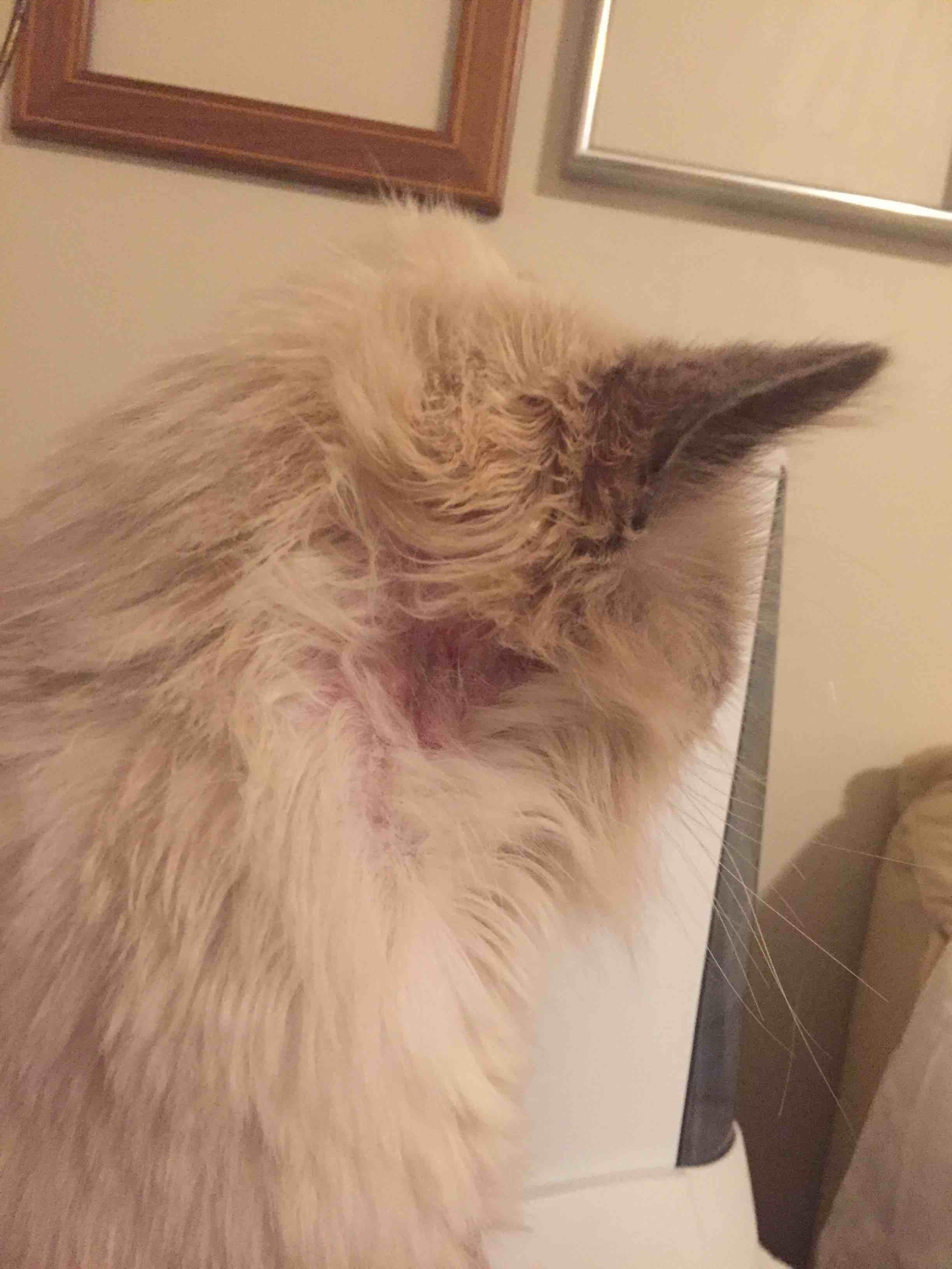 Question details sensitive content