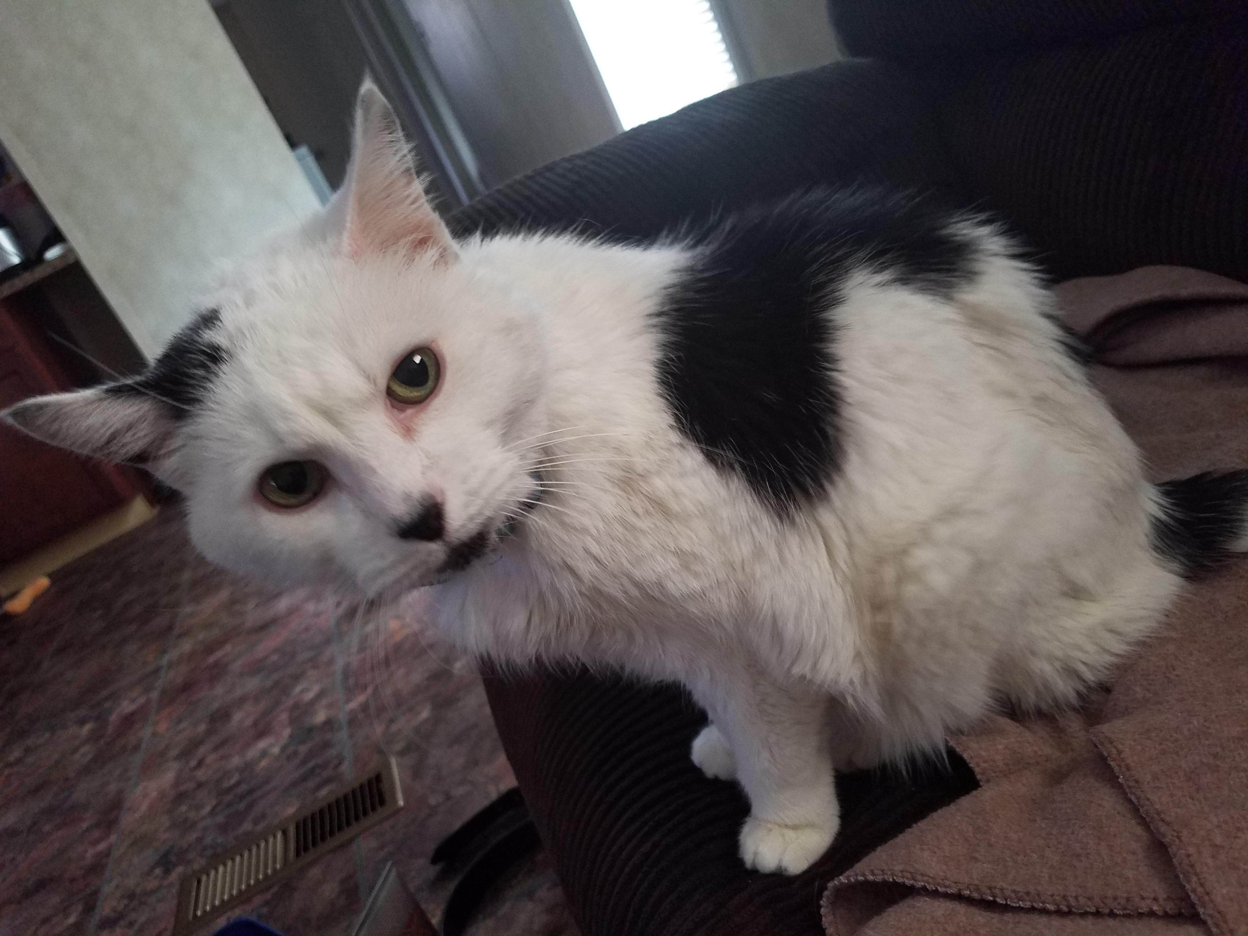 Question details sensitive content