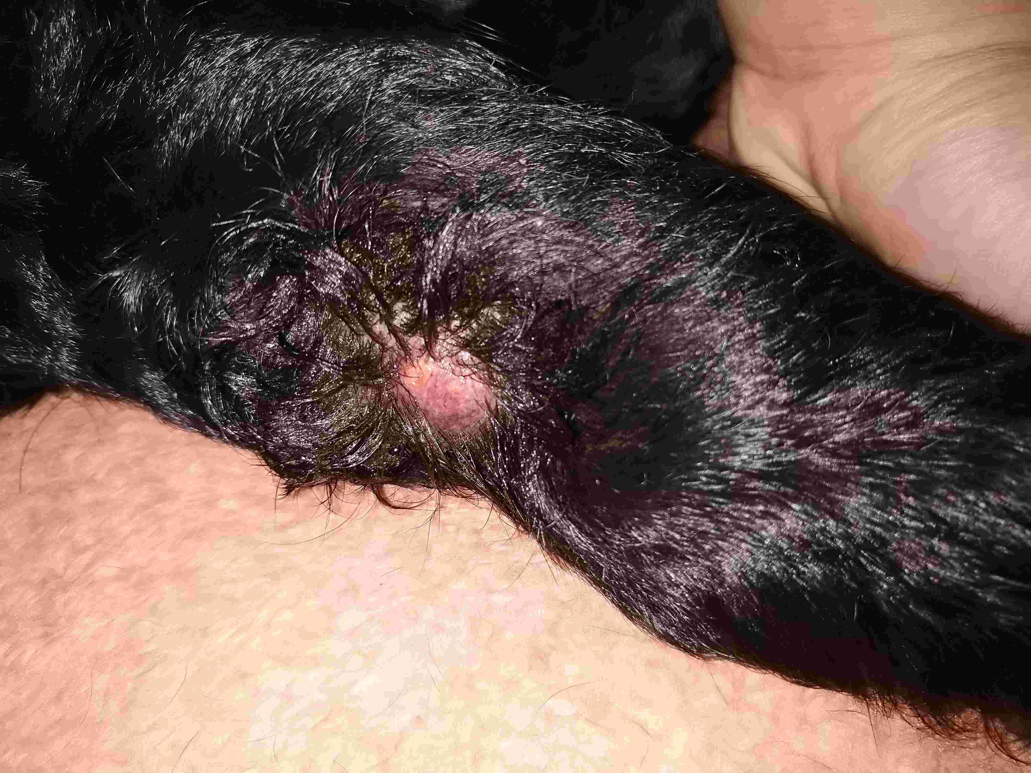 Question details sensitive content