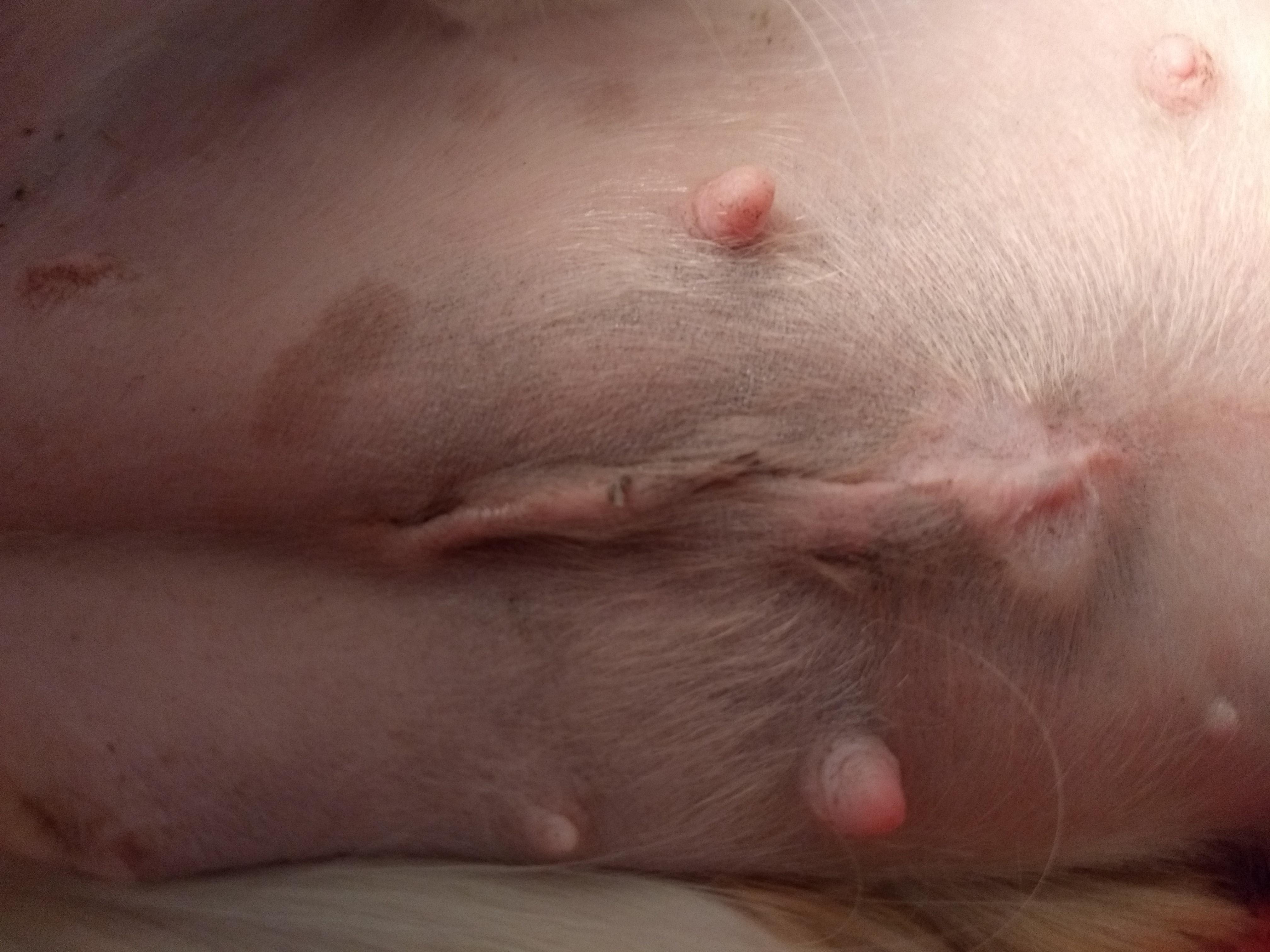 Question details sensitive content