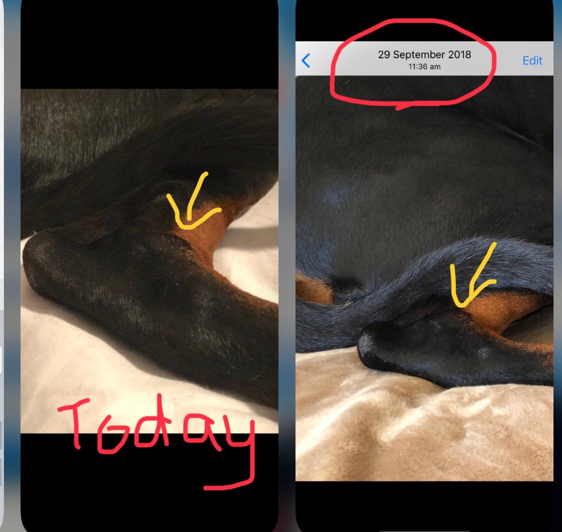 Question details sensitive content