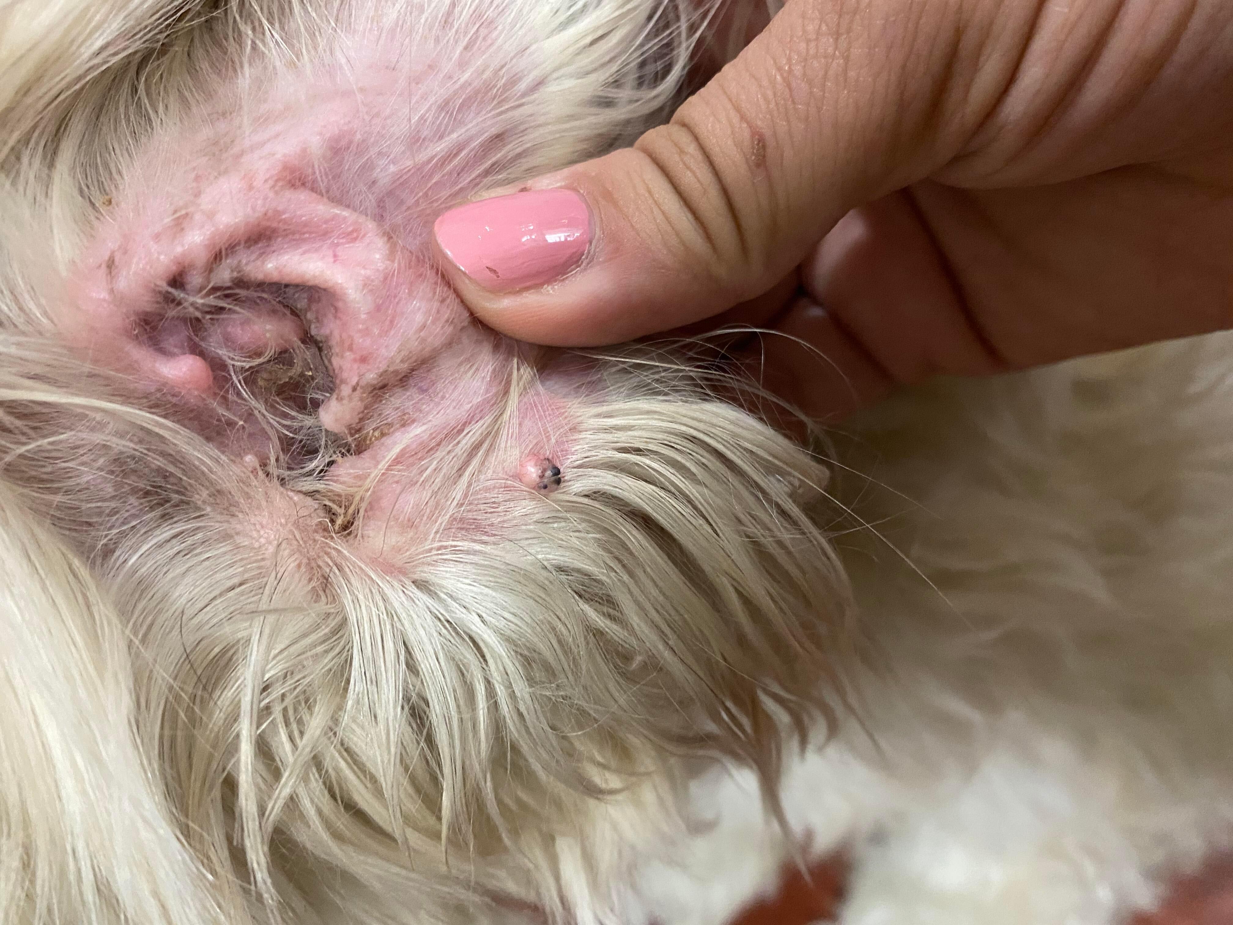 Question details sensitive content