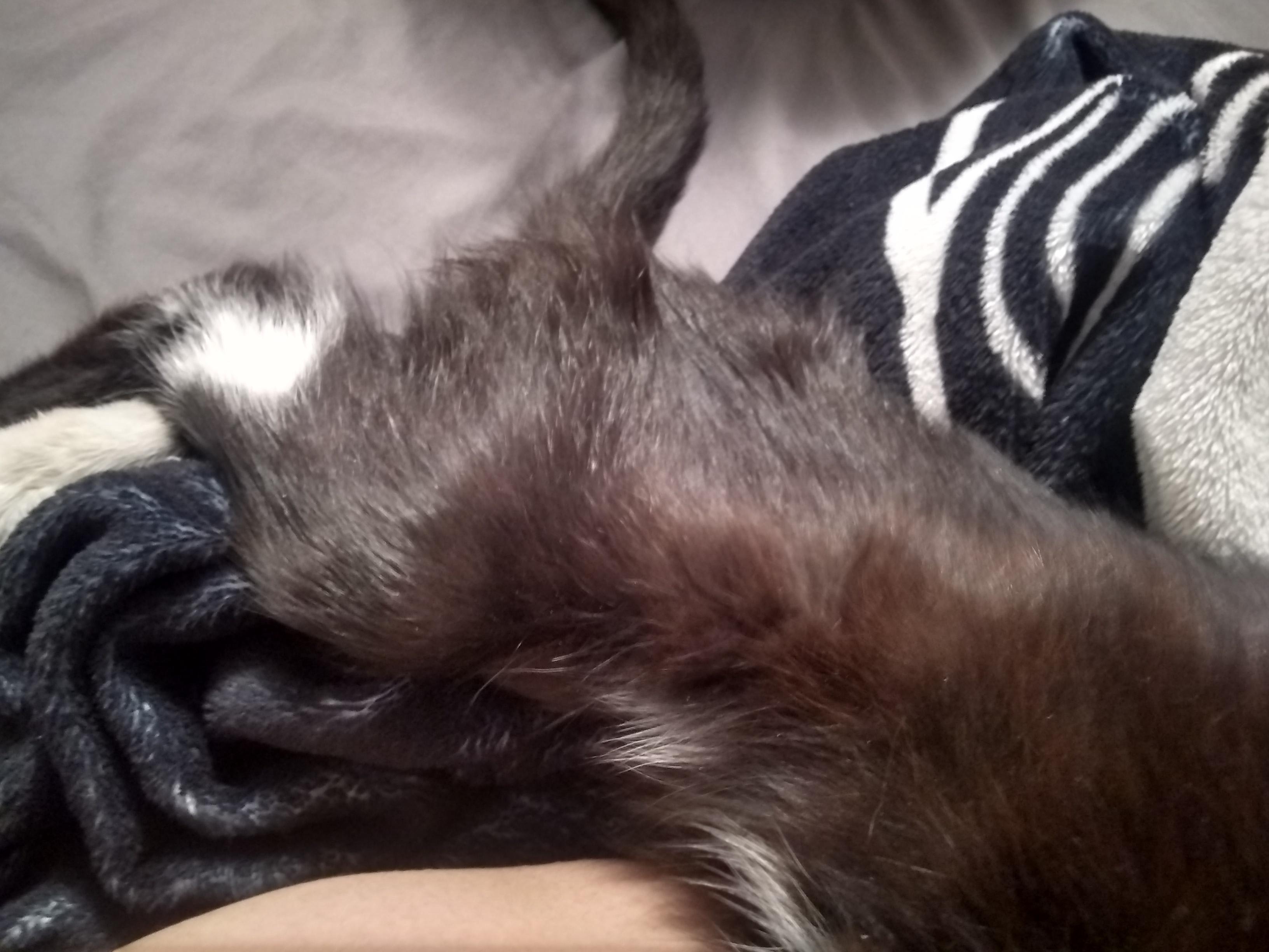 Question details sensitive content