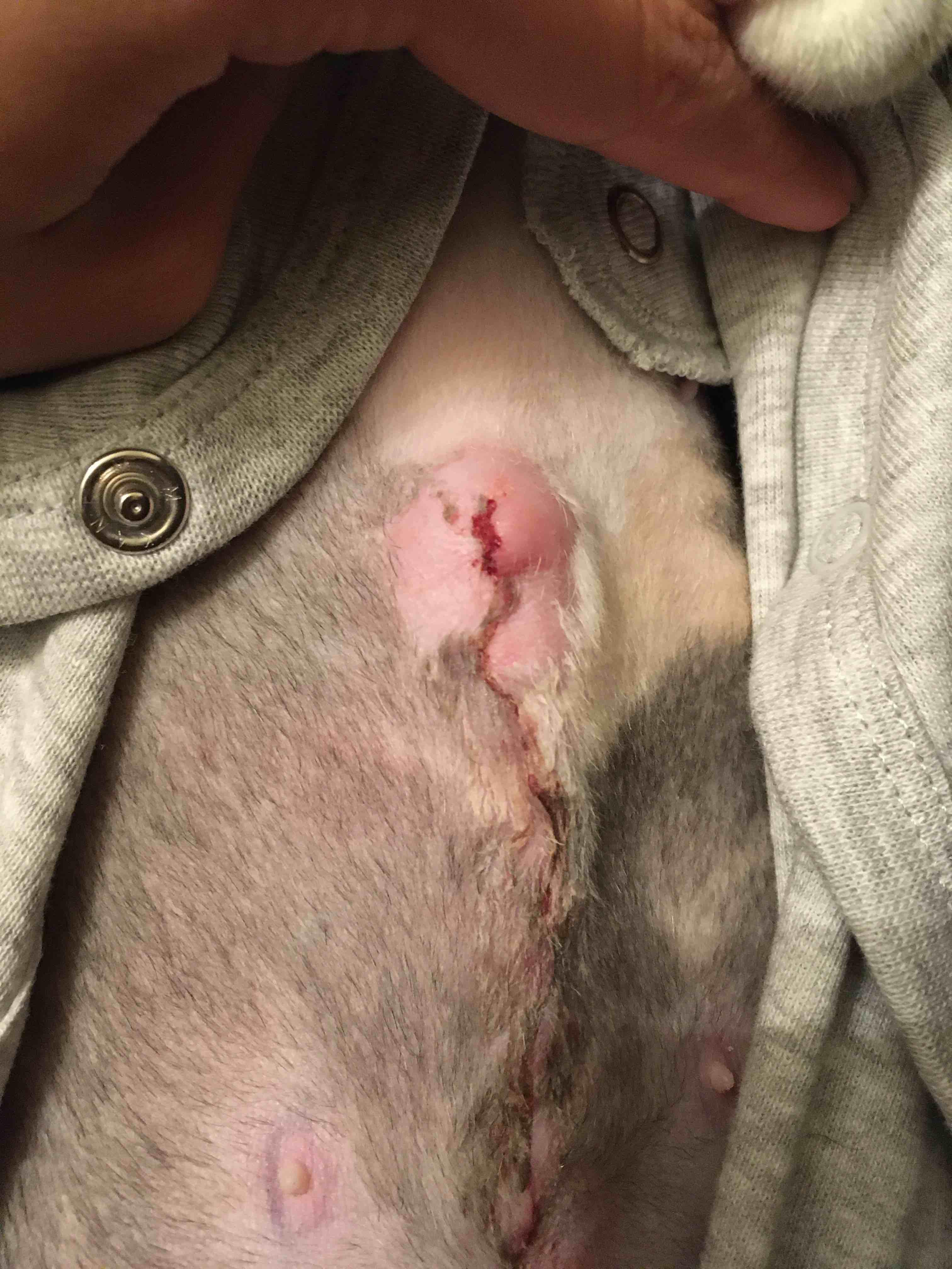 Question details sensitive content