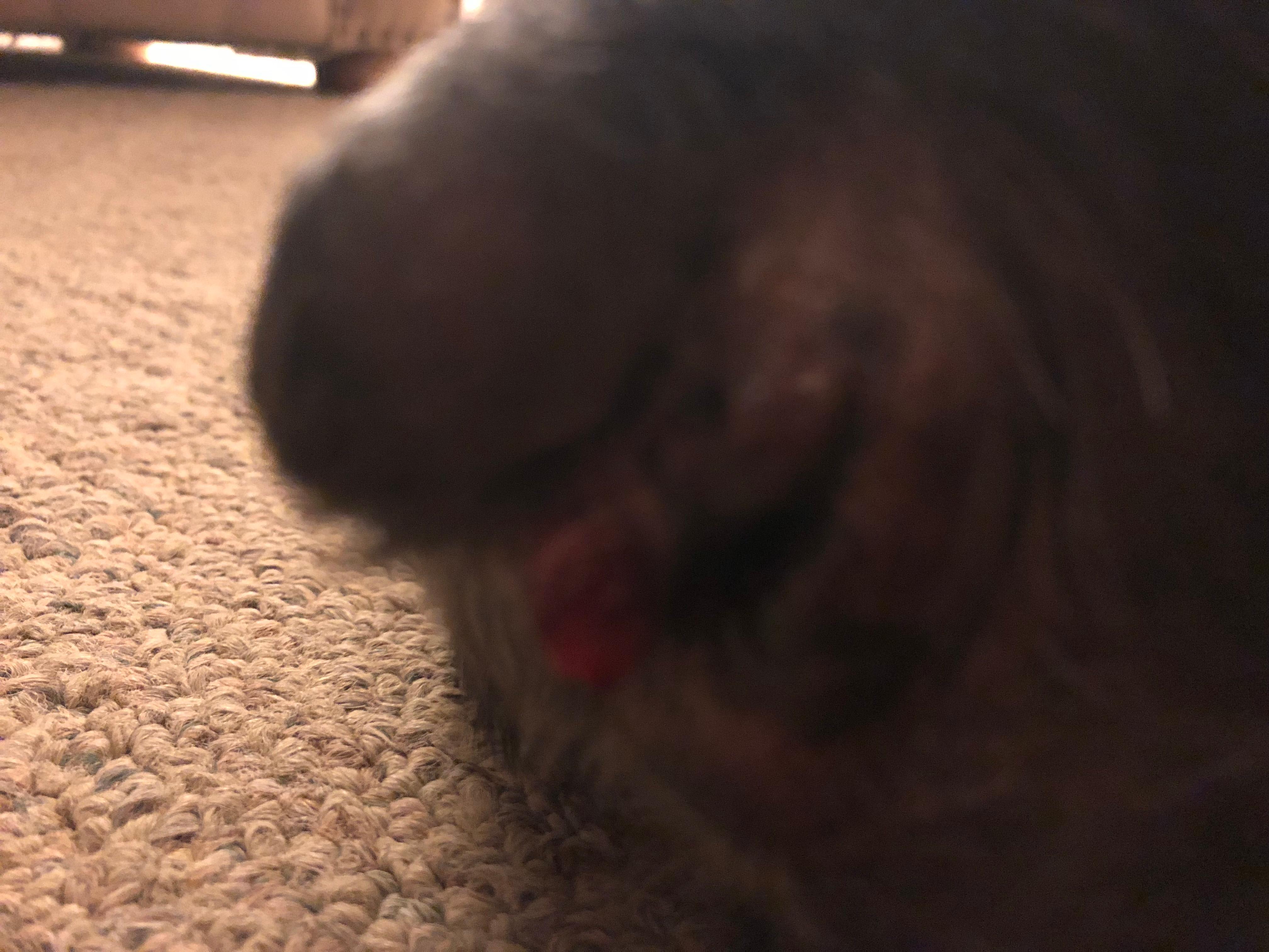 Question details sensitive content