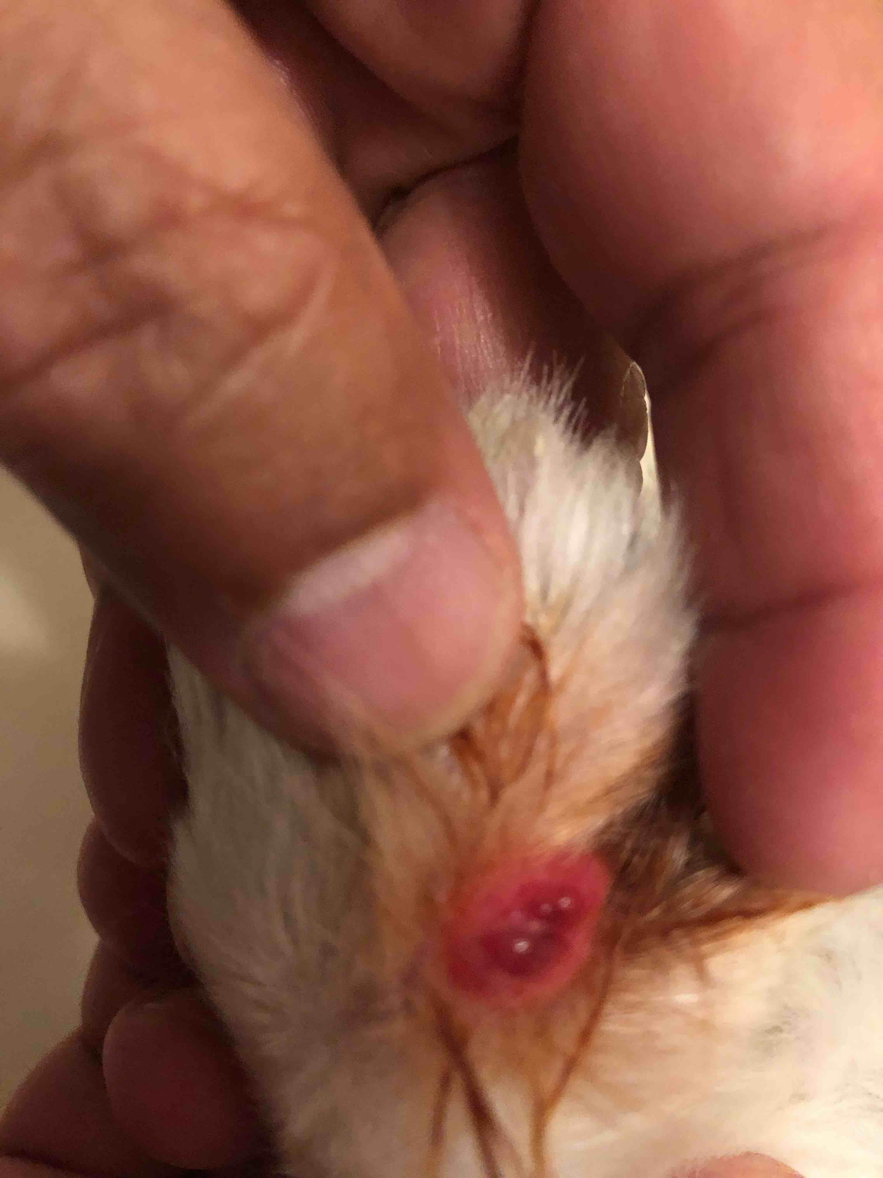 Question details sensitive content